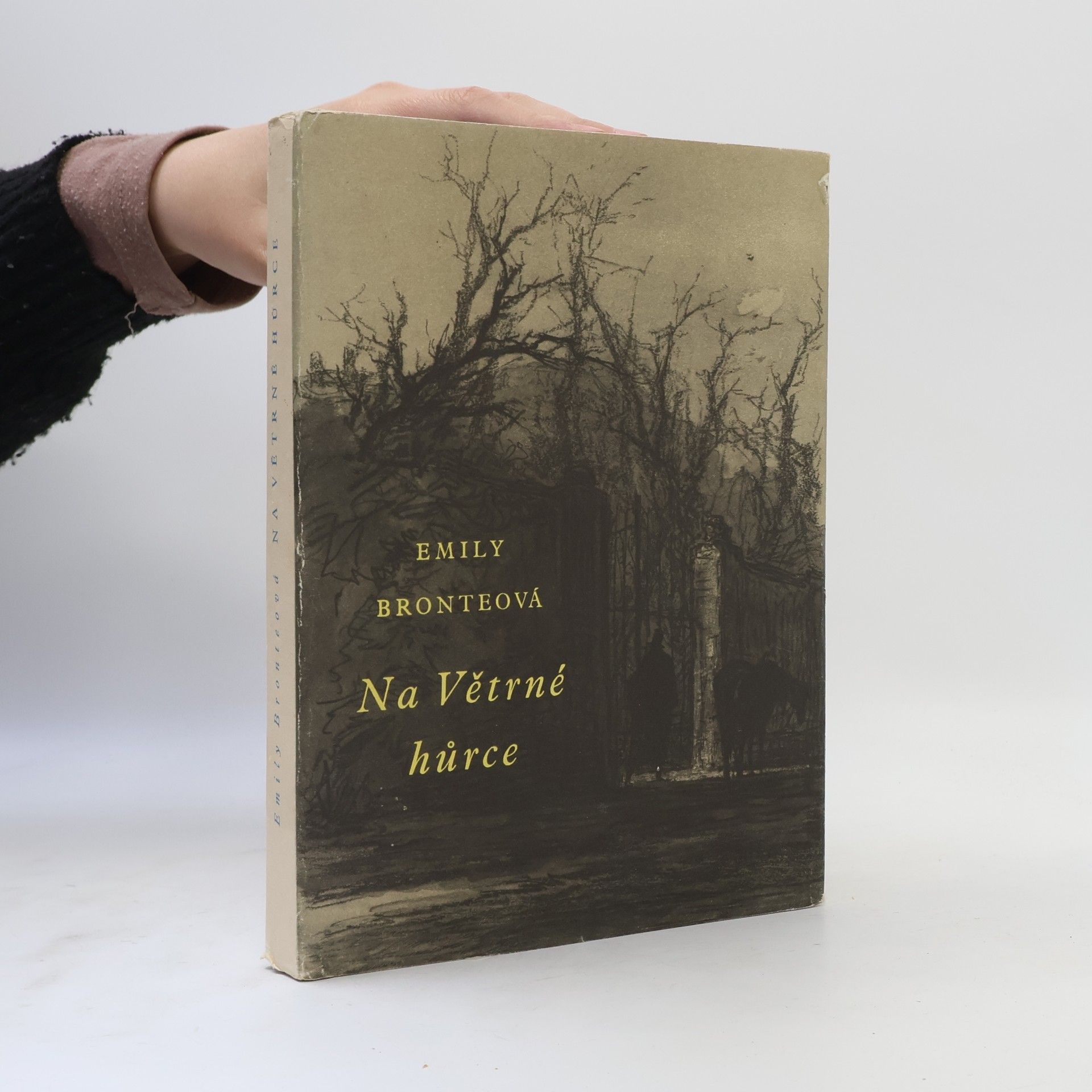 Emily Brontë Na Větrné hůrce