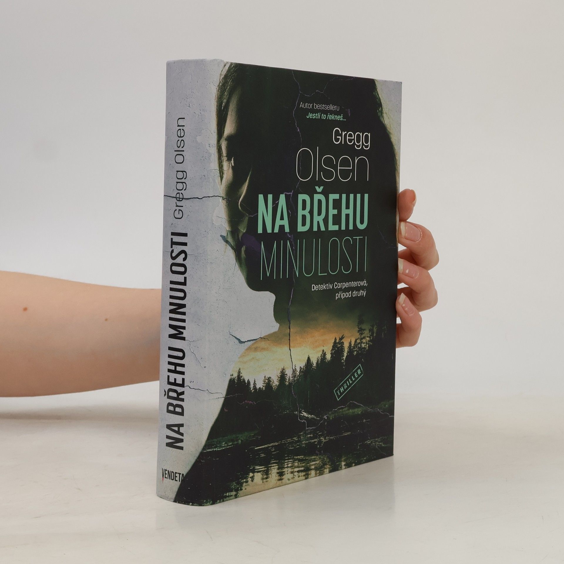 Gregg Olsen Na břehu minulosti
