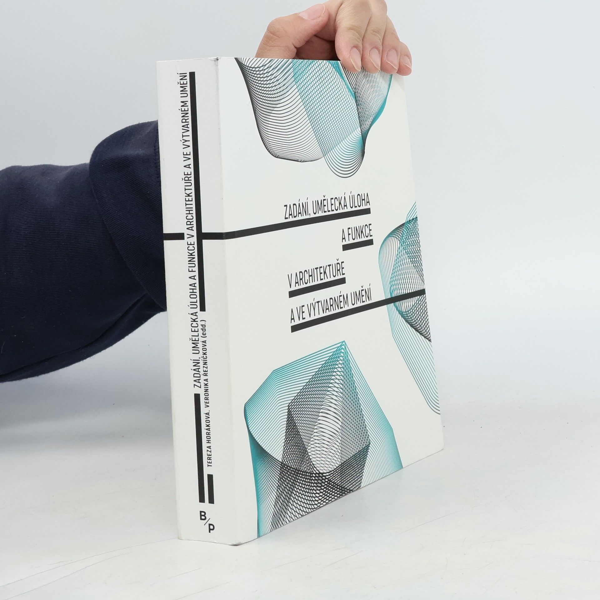 Veronika Řezníčková Zadání, umělecká úloha a funkce v architektuře a ve výtvarném umění