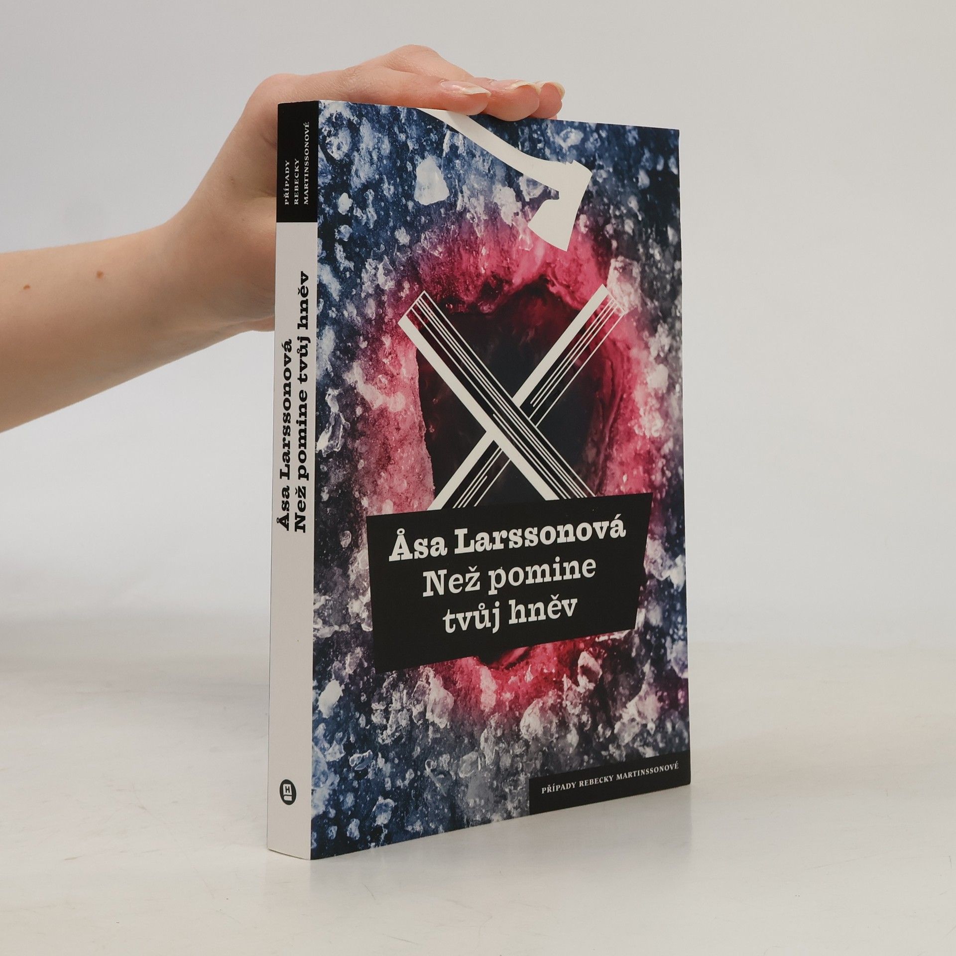 Åsa Larsson Než pomine tvůj hněv