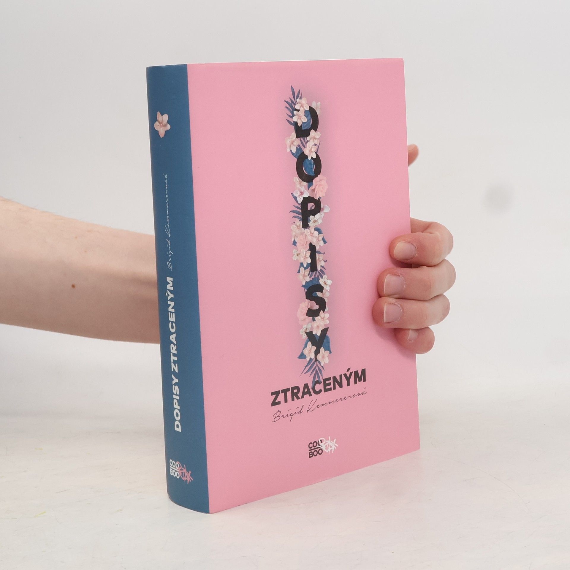 Brigid Kemmerer Dopisy ztraceným