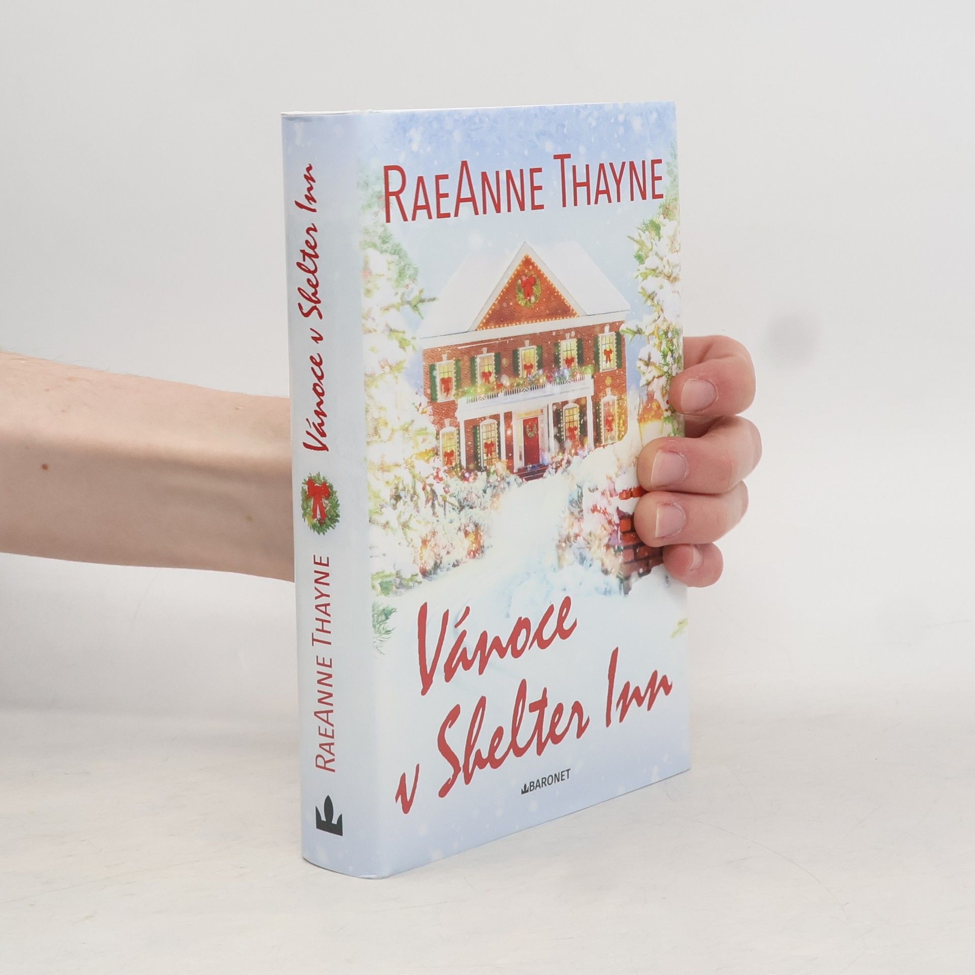 RaeAnne Thayne Vánoce v Shelter Inn
