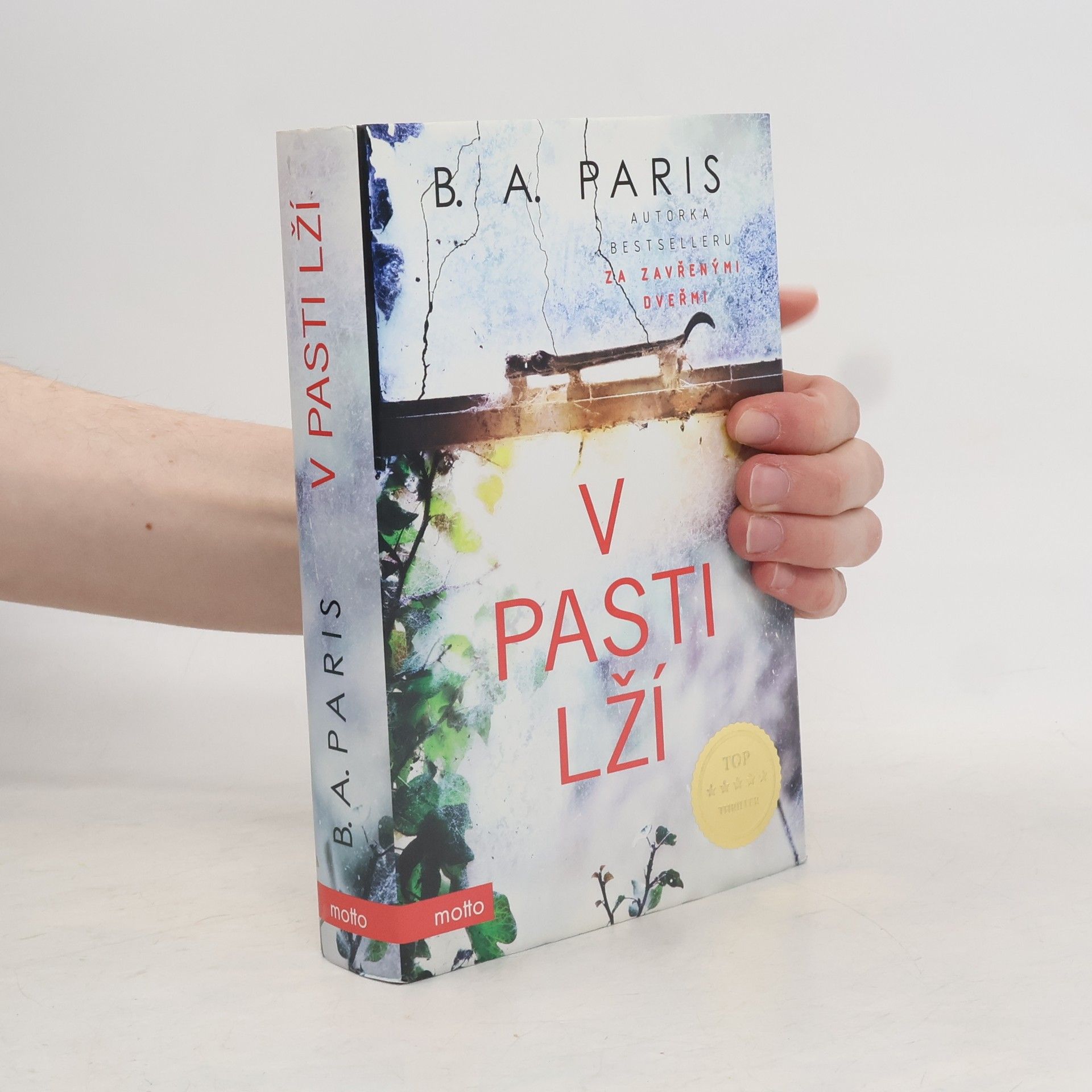 B.A. Paris V pasti lží