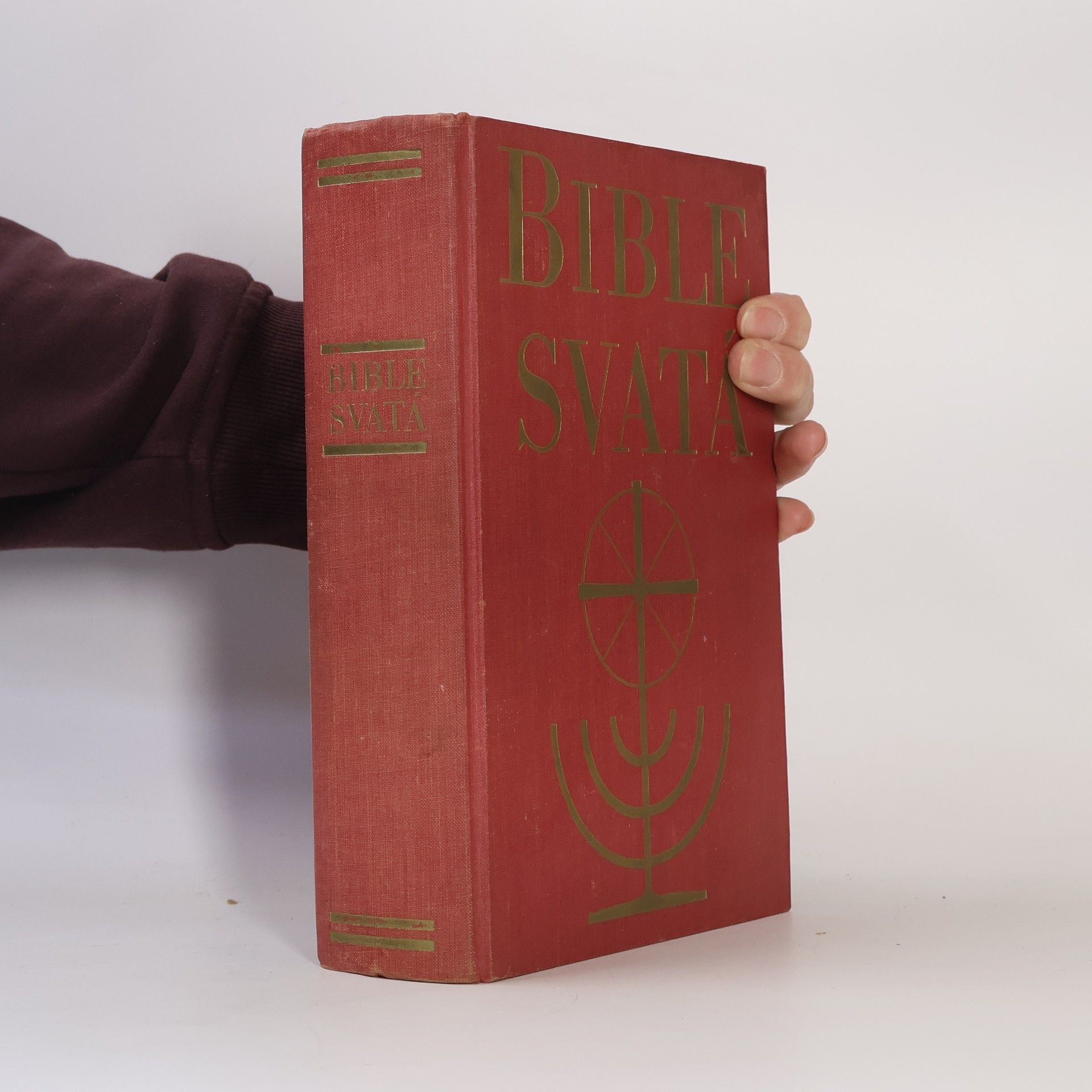 Kolektív autorov Bible svatá