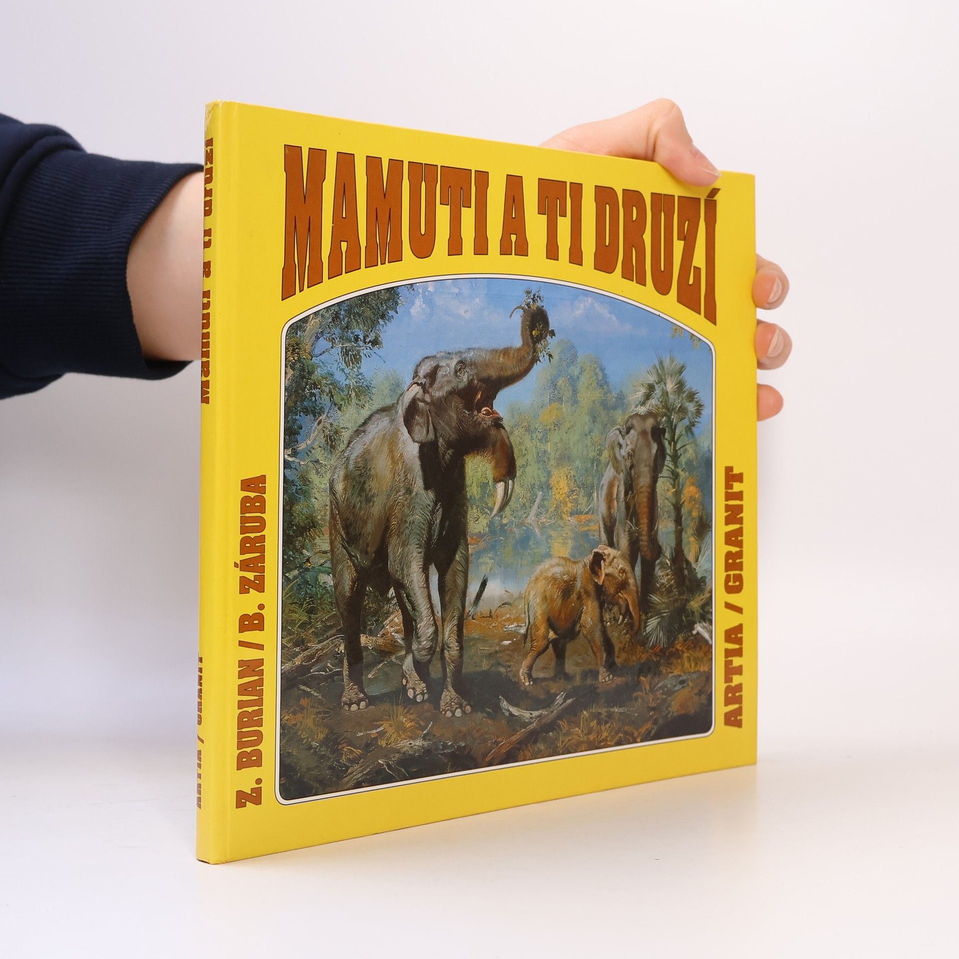 Bořivoj Záruba Mamuti a ti druzí