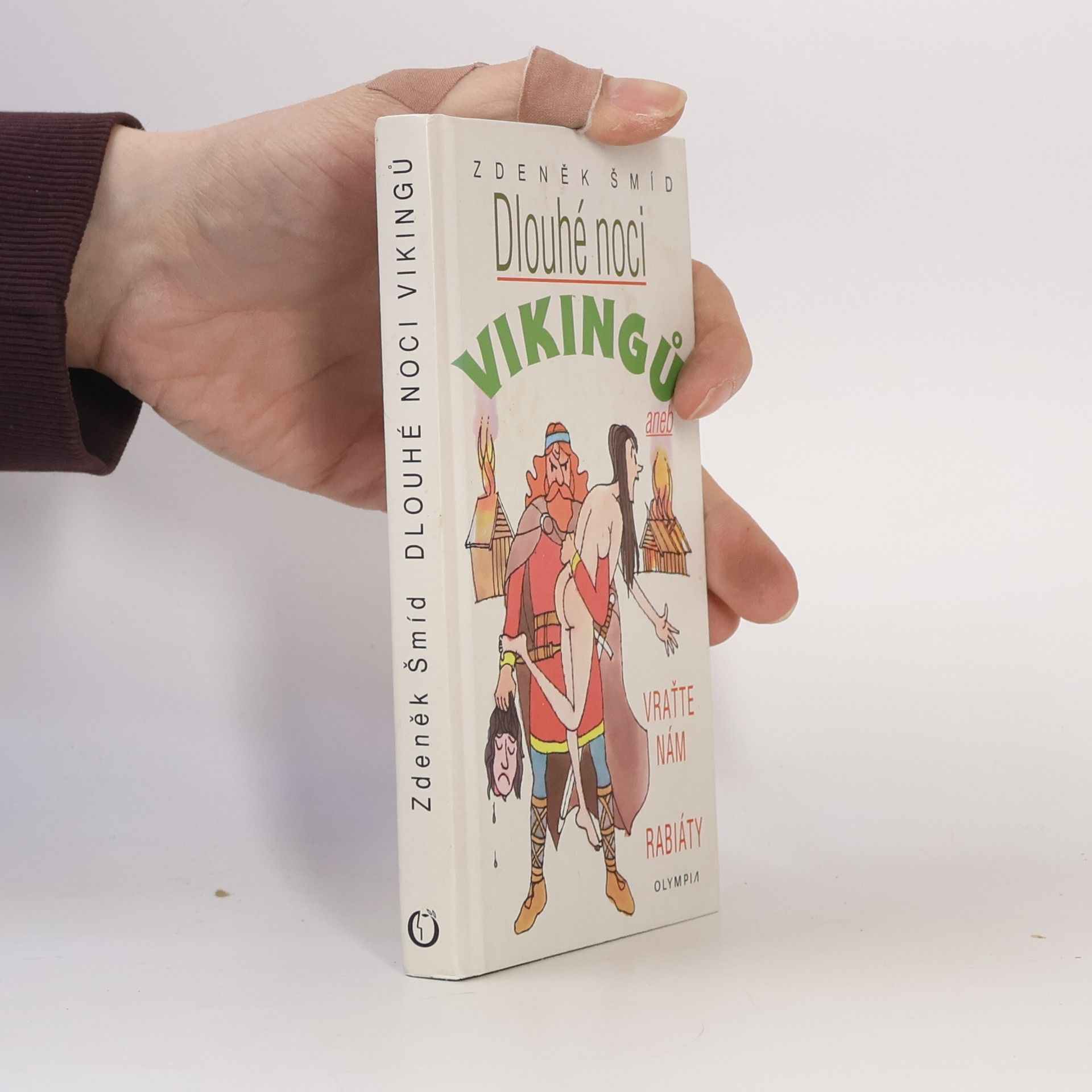 Zdeněk Šmíd Dlouhé noci Vikingů aneb Vraťte nám rabiáty