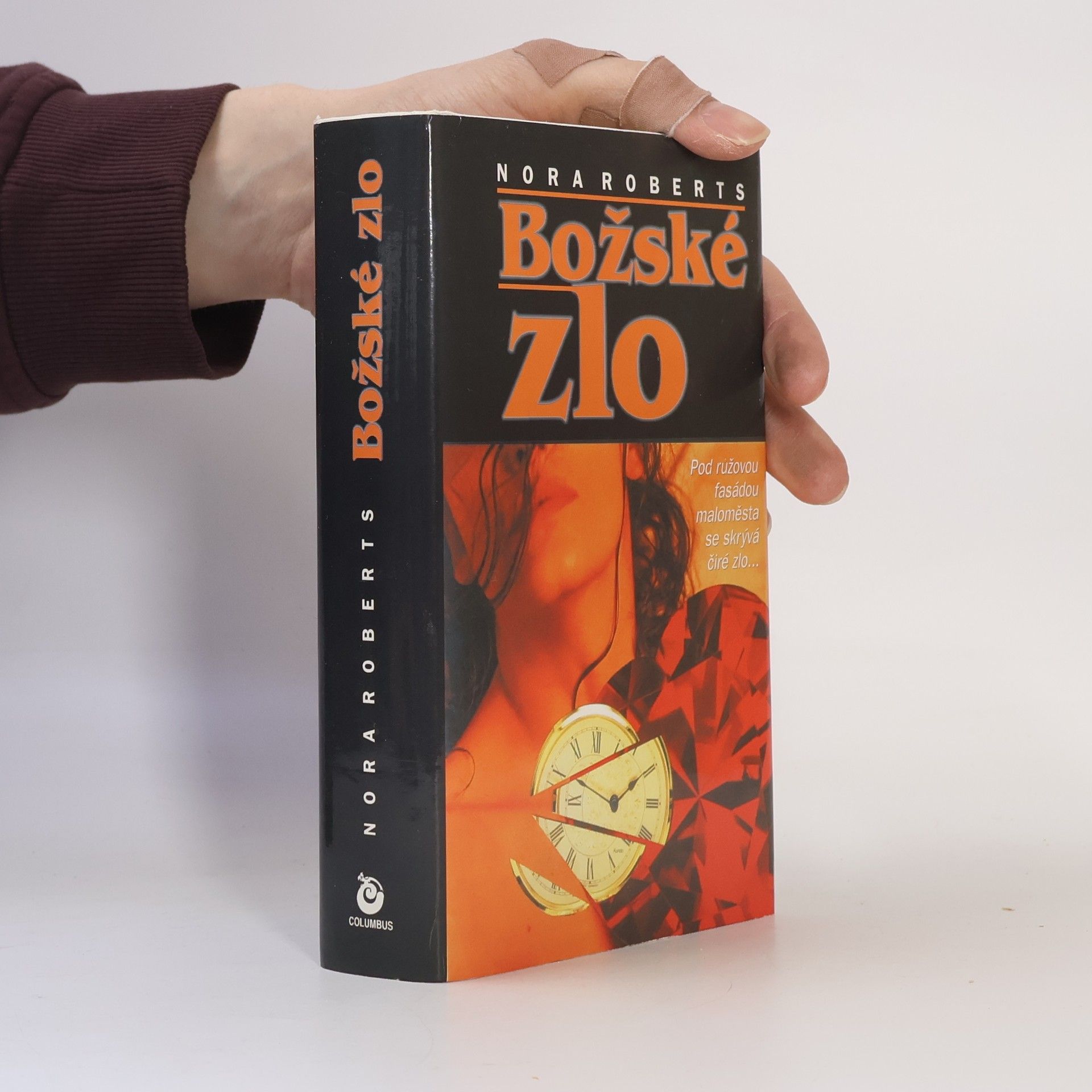 Nora Roberts Božské zlo