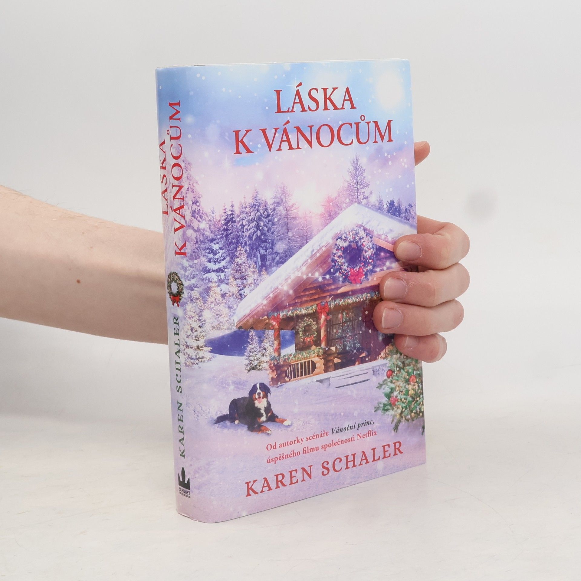 Karen Schaler Láska k Vánocům