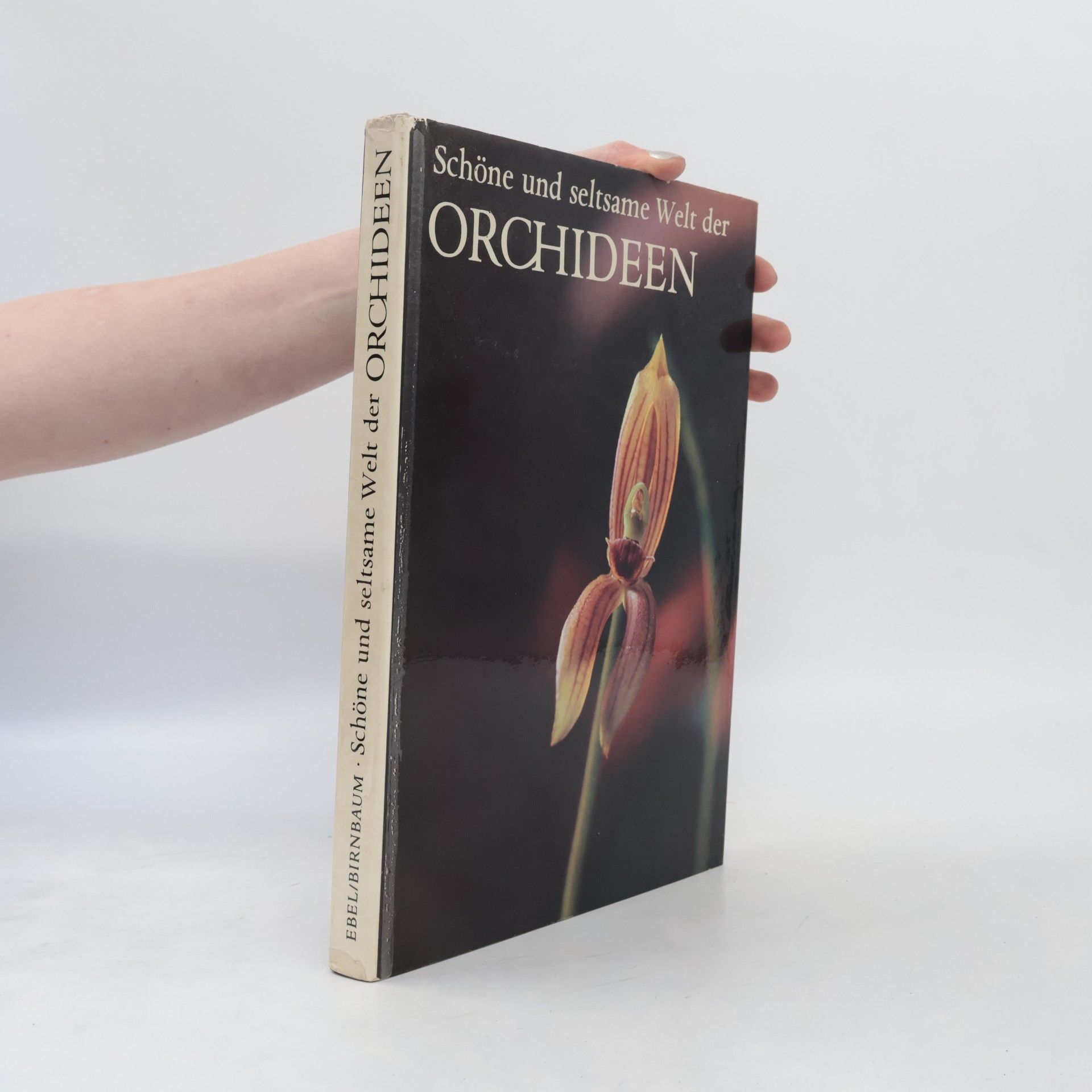 Schöne und seltsame Welt der Orchideen
