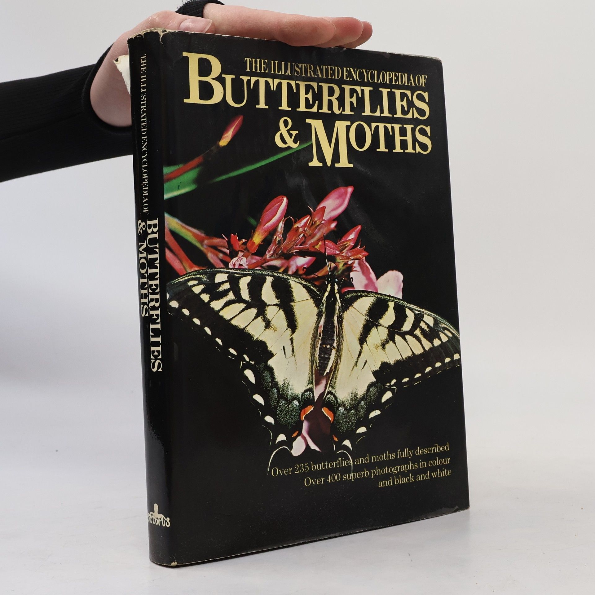 Kolektiv autorů The Illustrated Encyclopedia of Butterflies & Moths