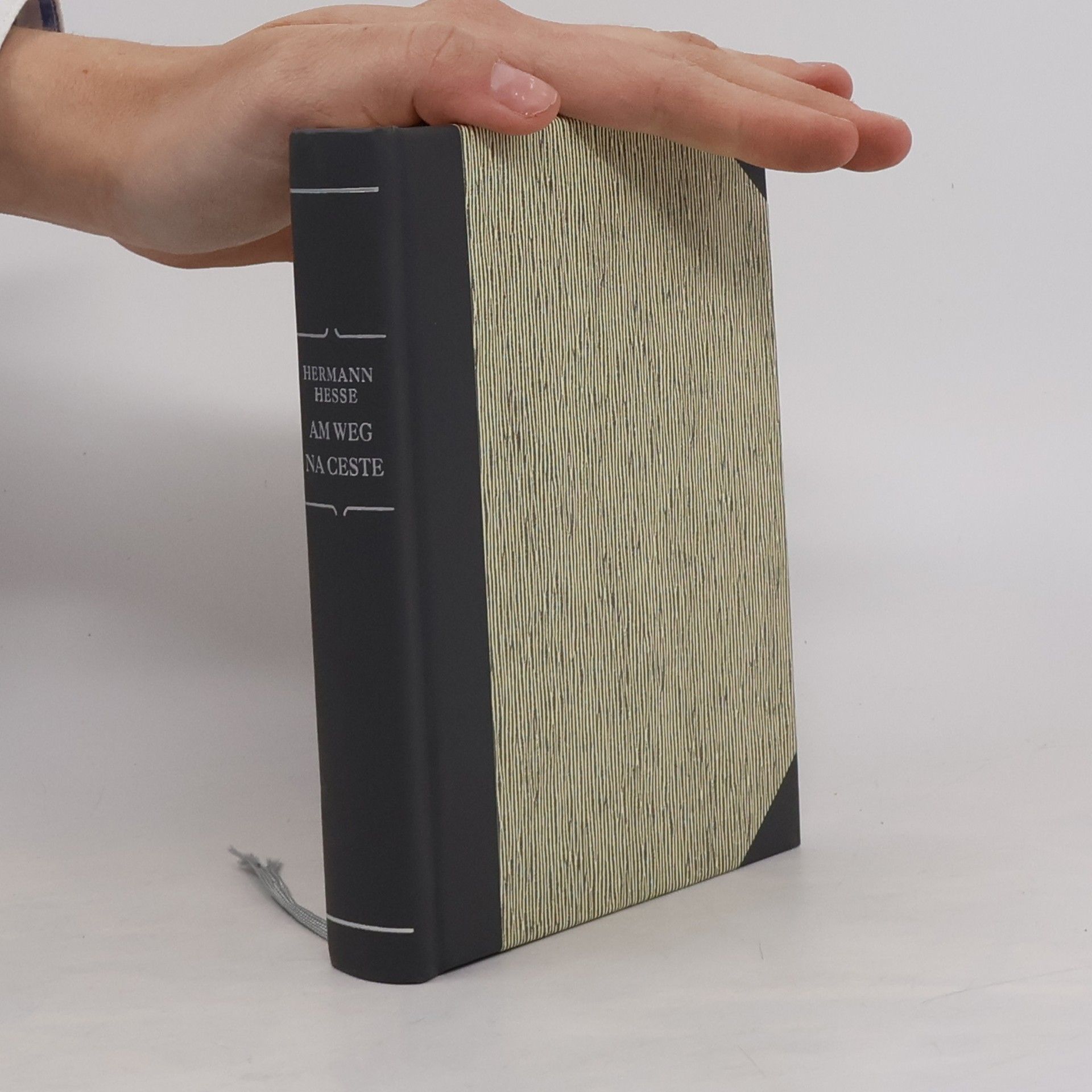 Hermann Hesse Na Ceste / Am Weg