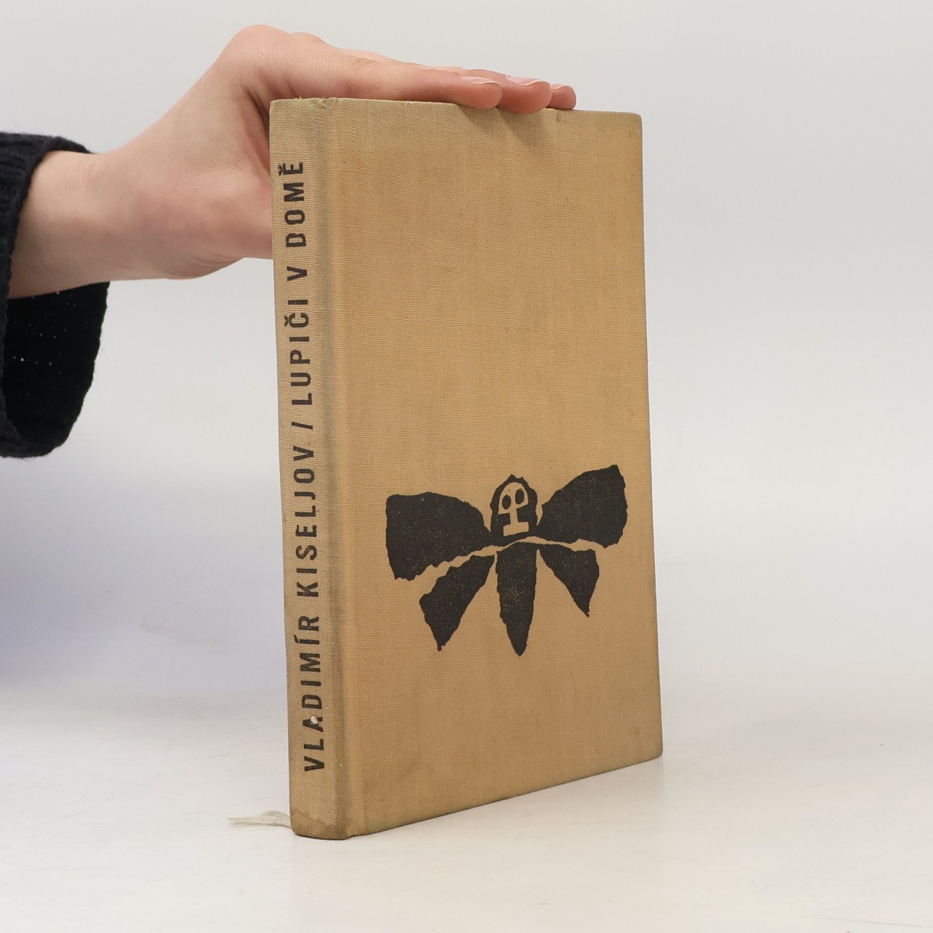 Vladimir Leont jevič Kiselev Lupiči v domě