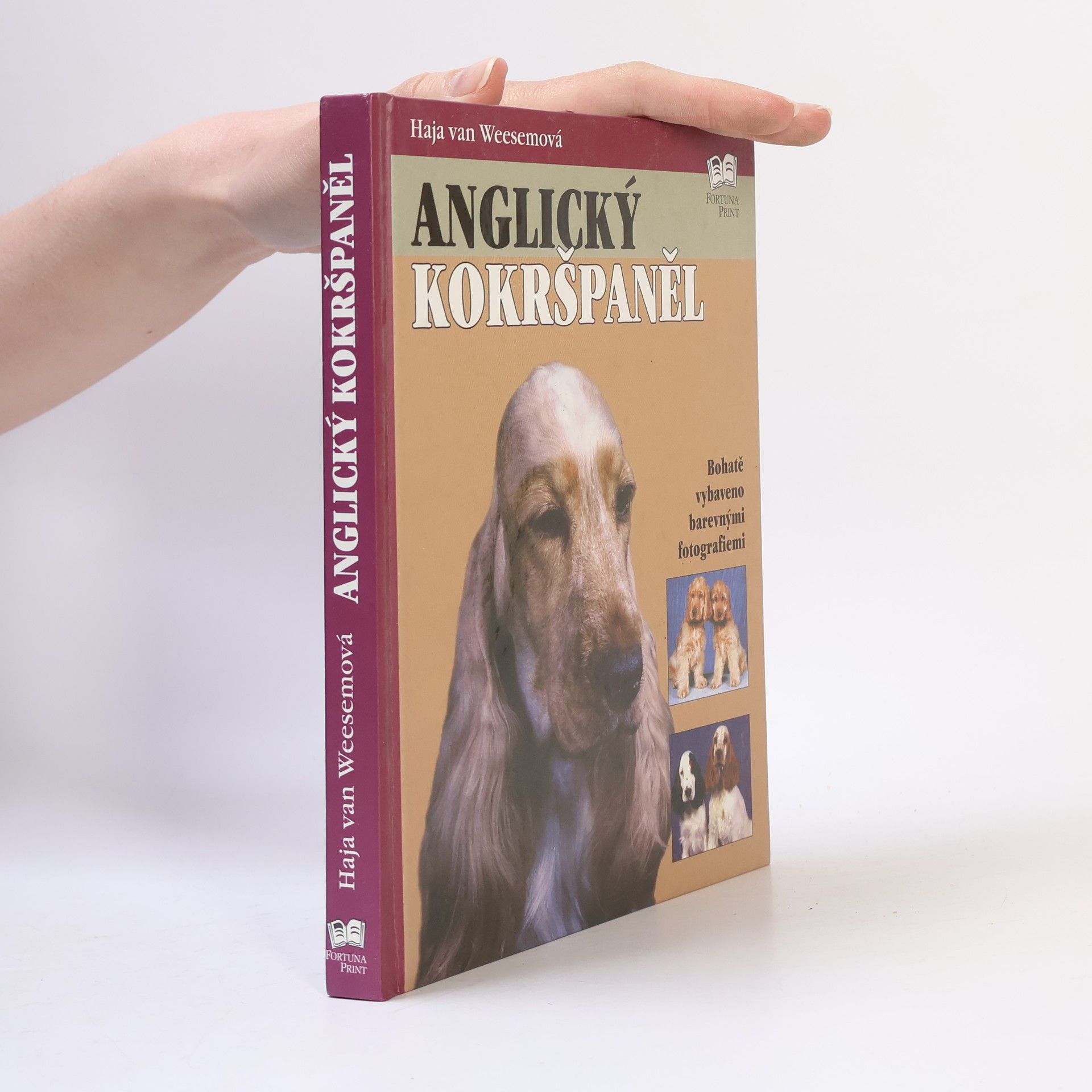 Haja van Wessem Anglický kokršpaněl