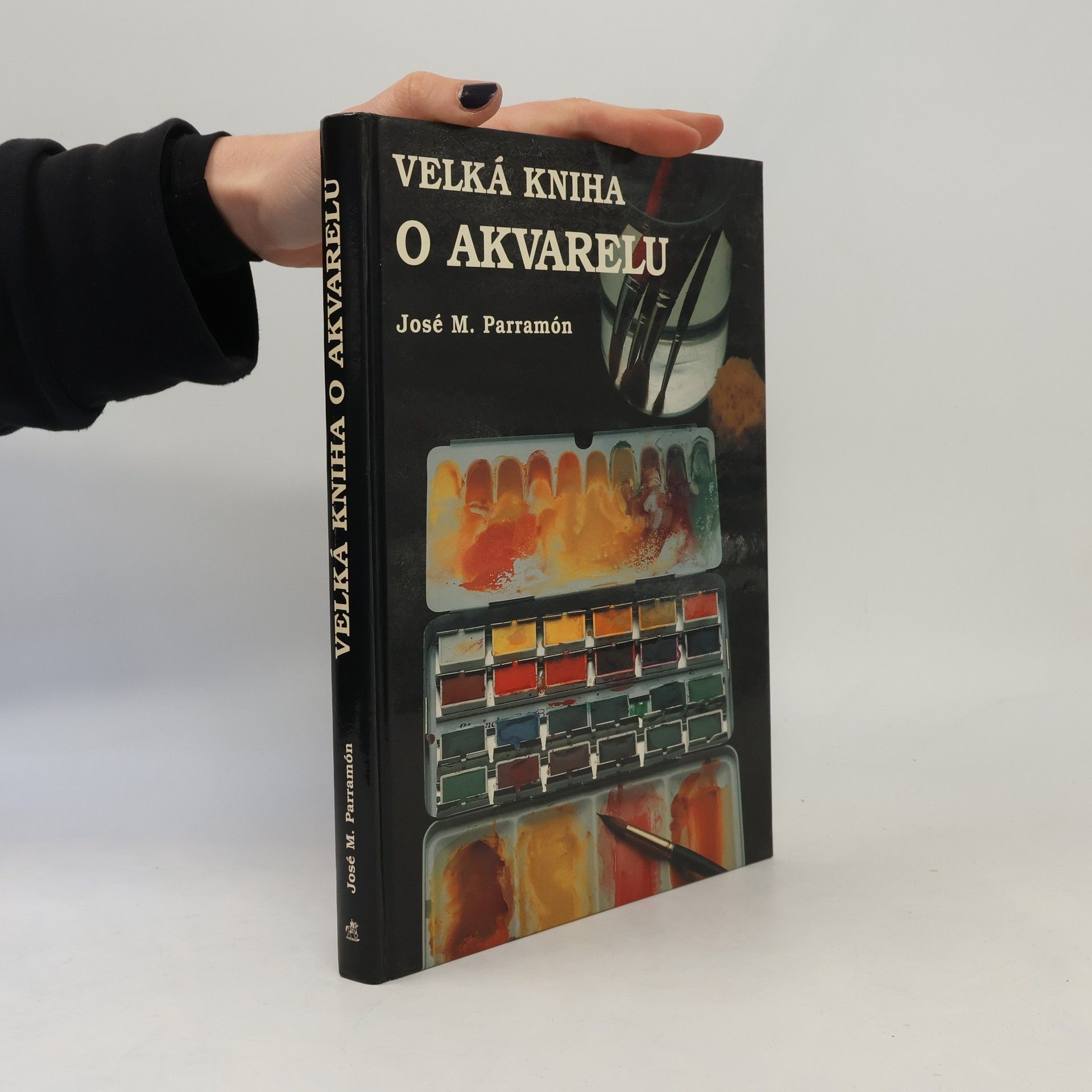 Magdalena Pechová Velká kniha o akvarelu