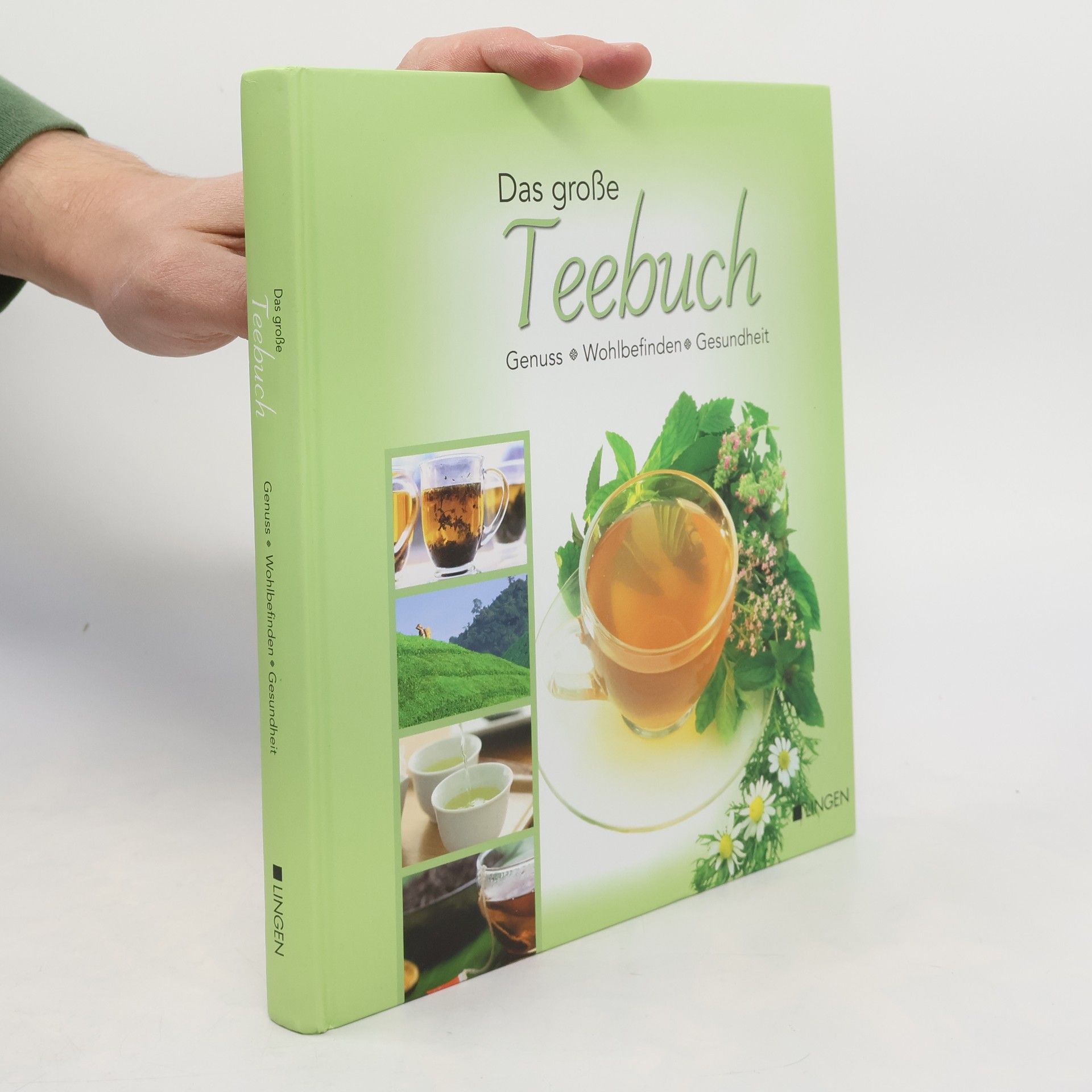 Das große TeeBuch