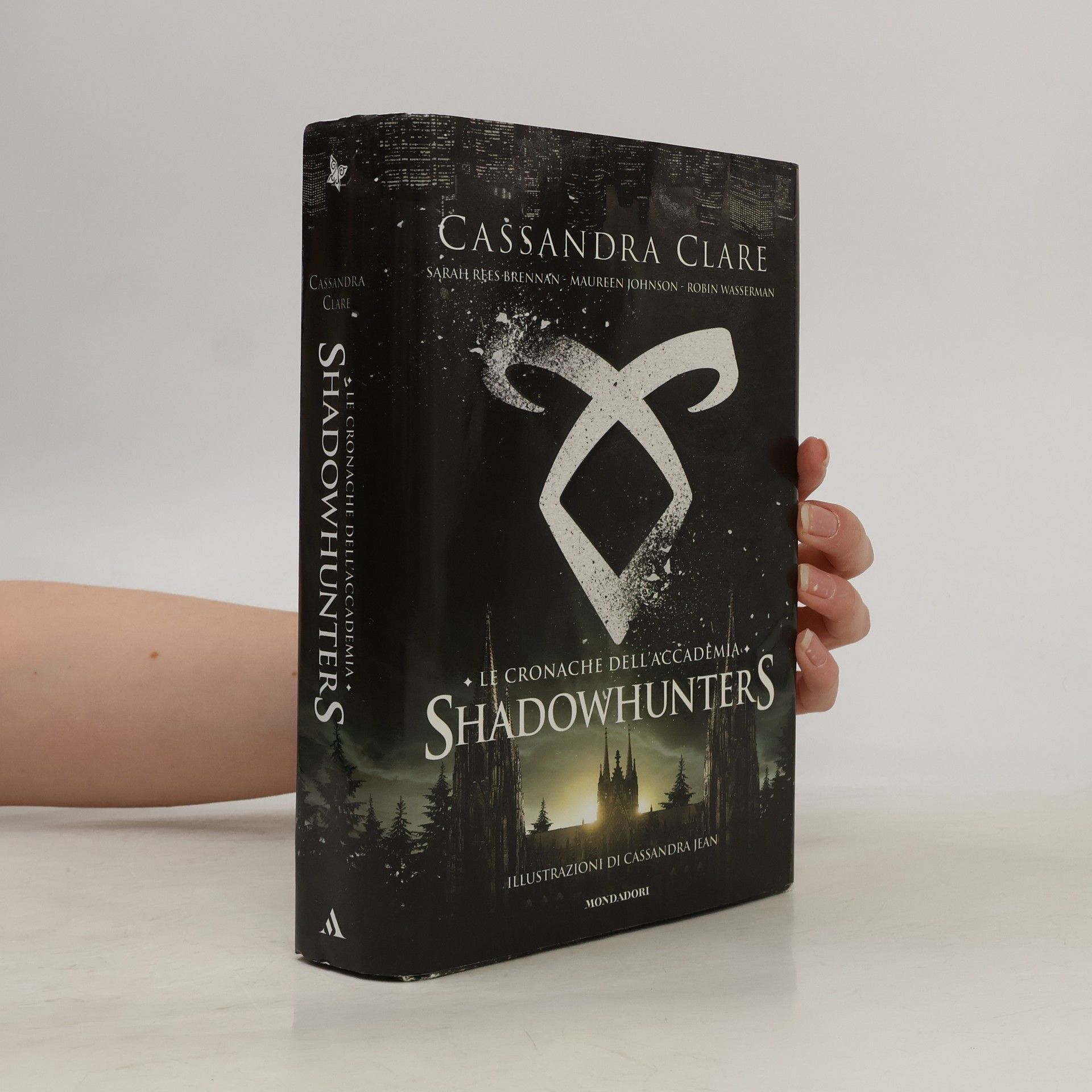 Cassandra Clare Le cronache dell'Accademia Shadowhunters