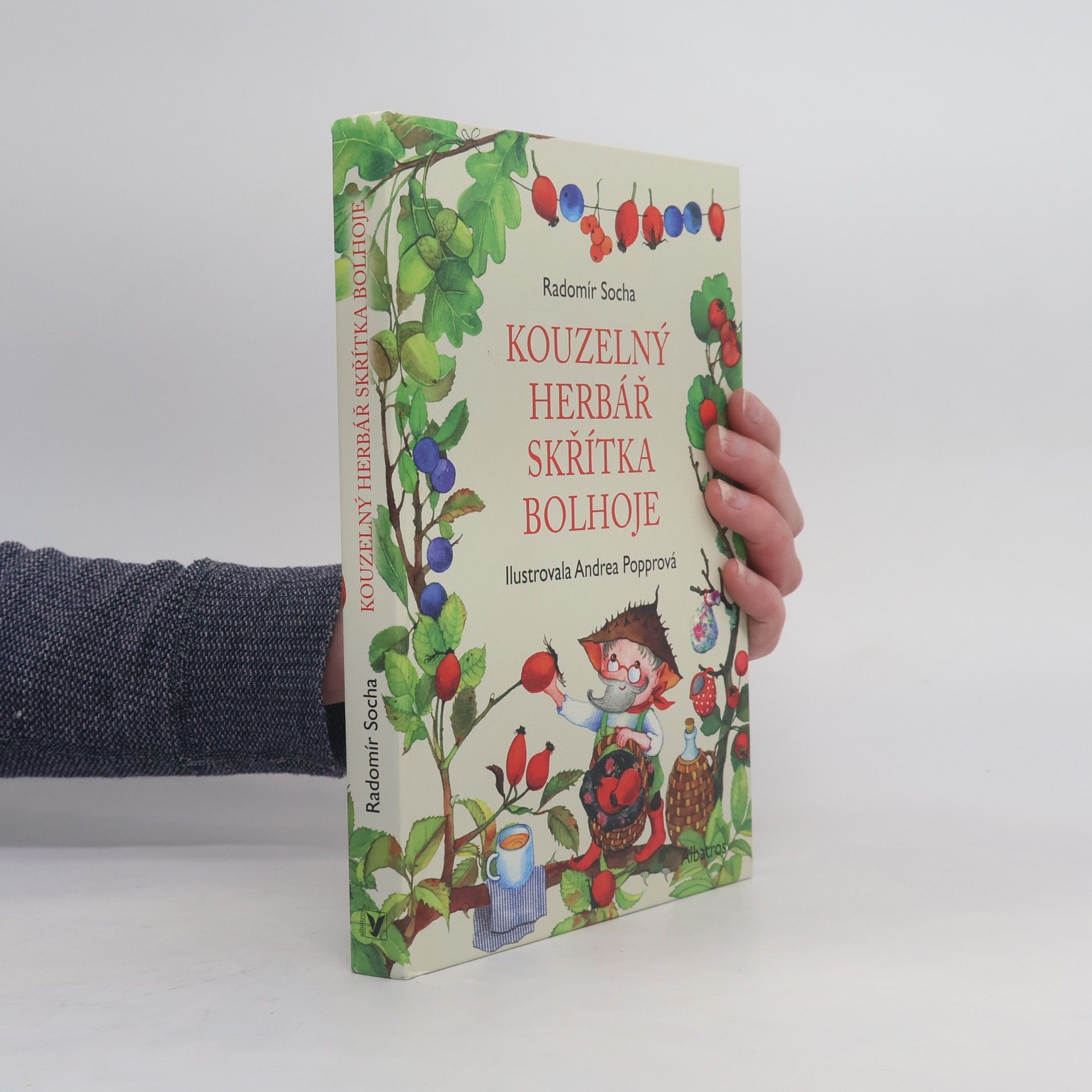 Radomír Socha Kouzelný herbář skřítka Bolhoje