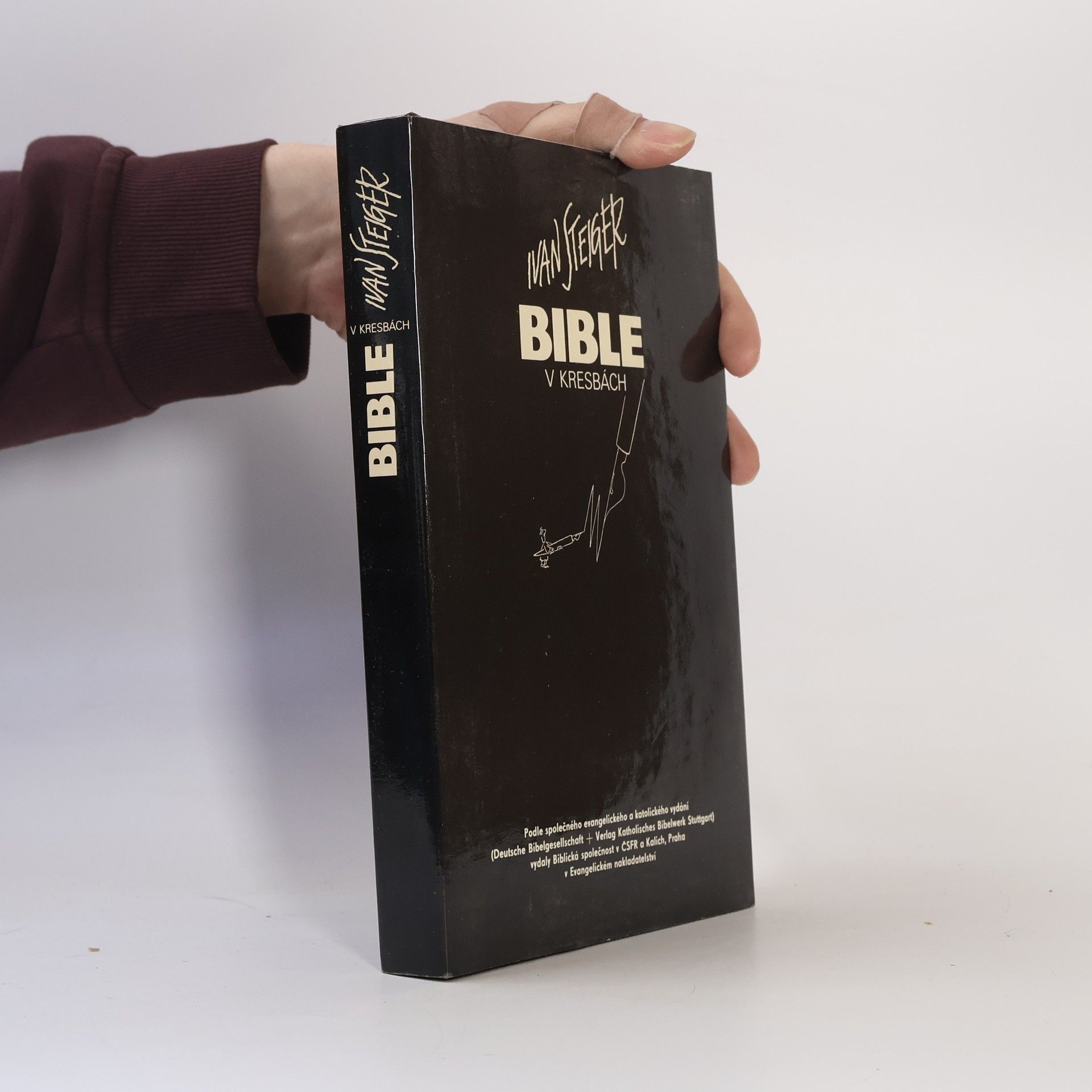 Bible v kresbách