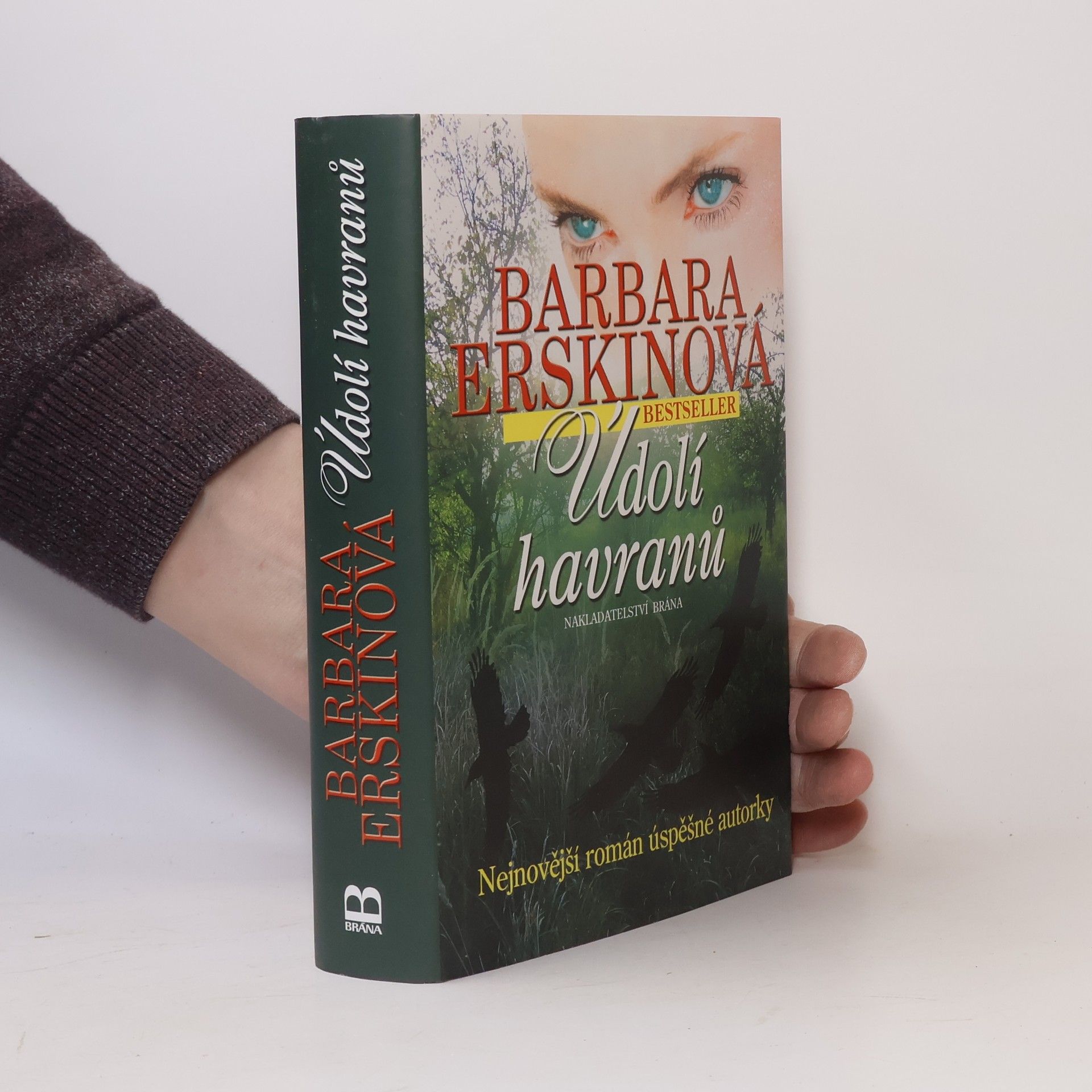 Barbara Erskinová Údolí havranů