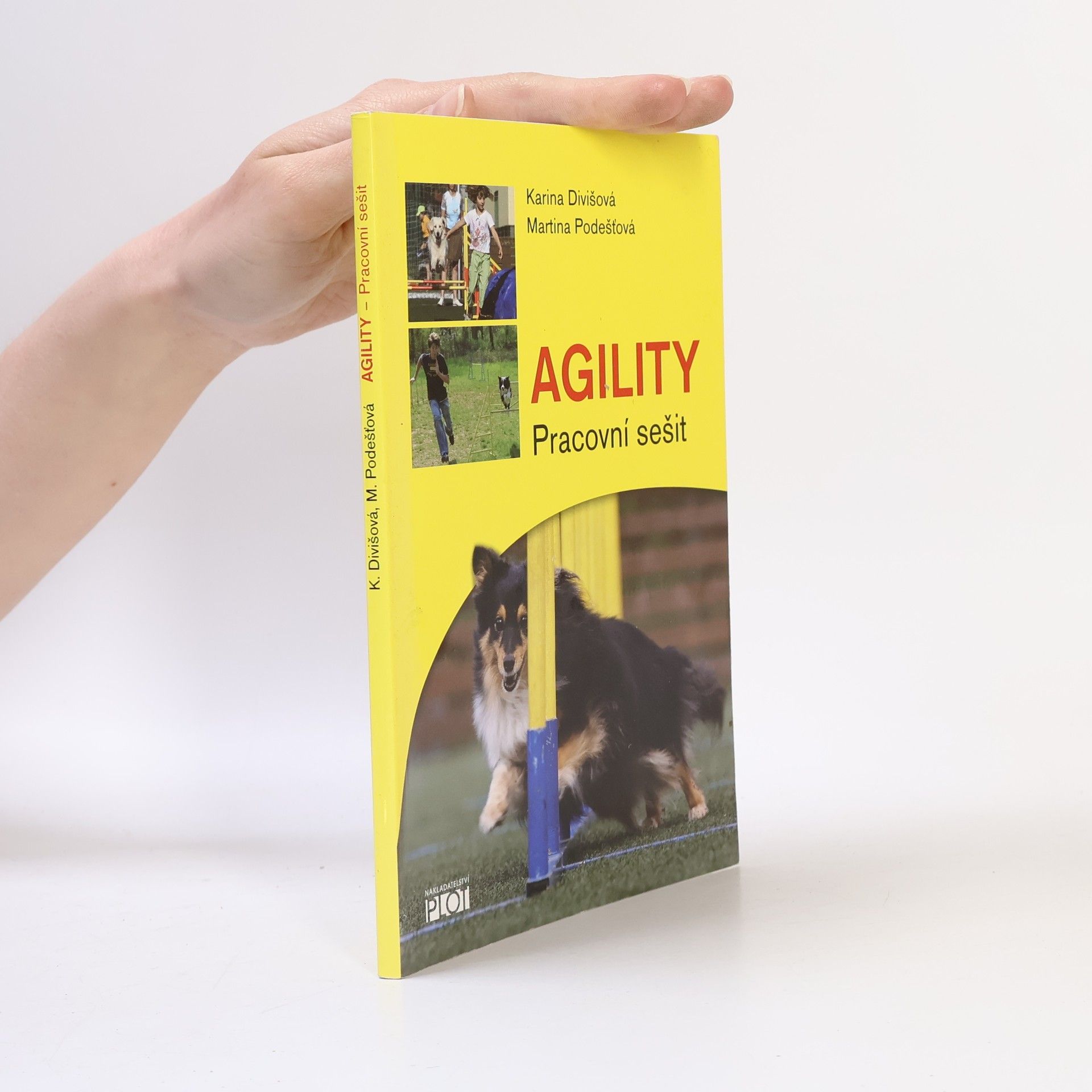 Karina Divišová Agility - Pracovní sešit