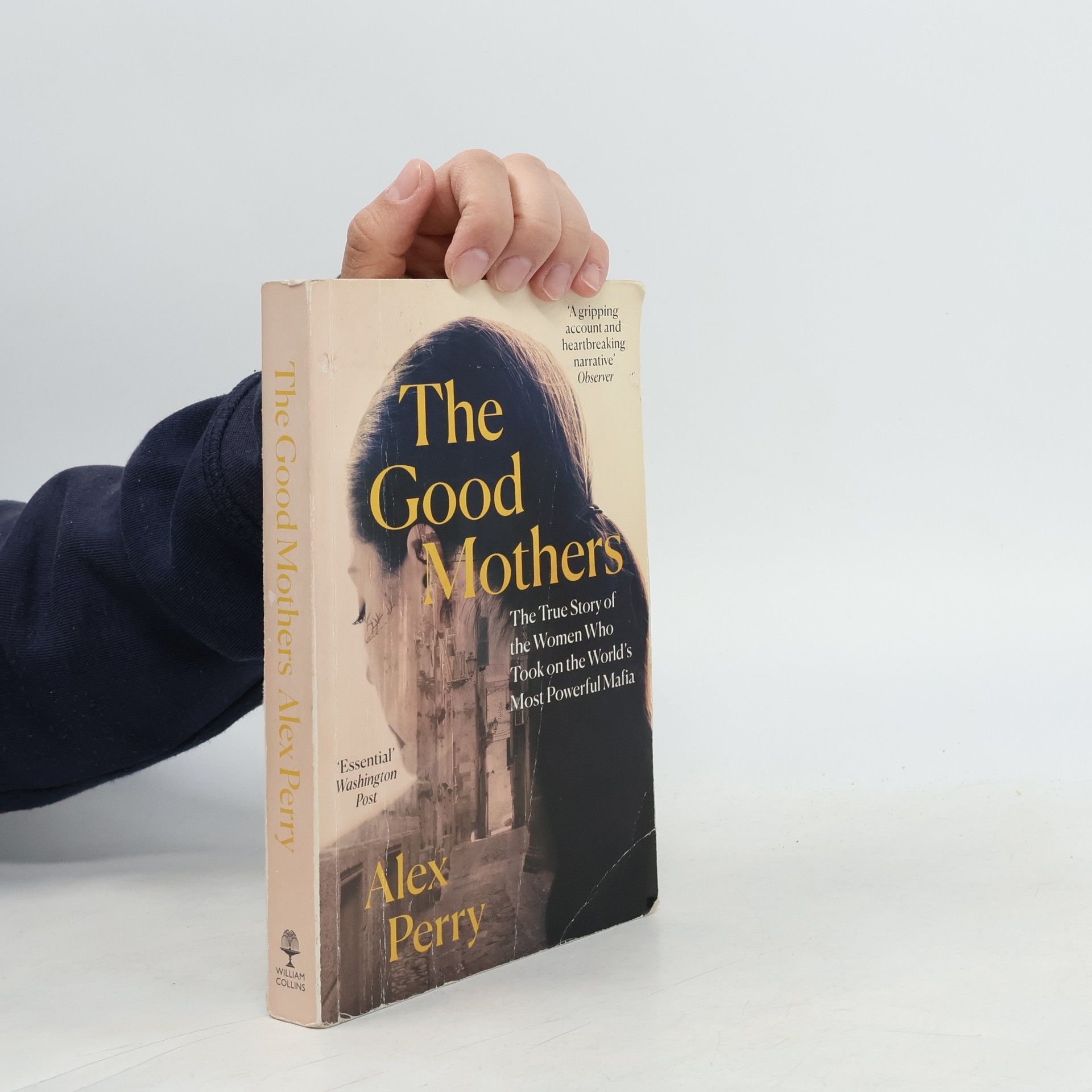 Alex Perry The good mothers