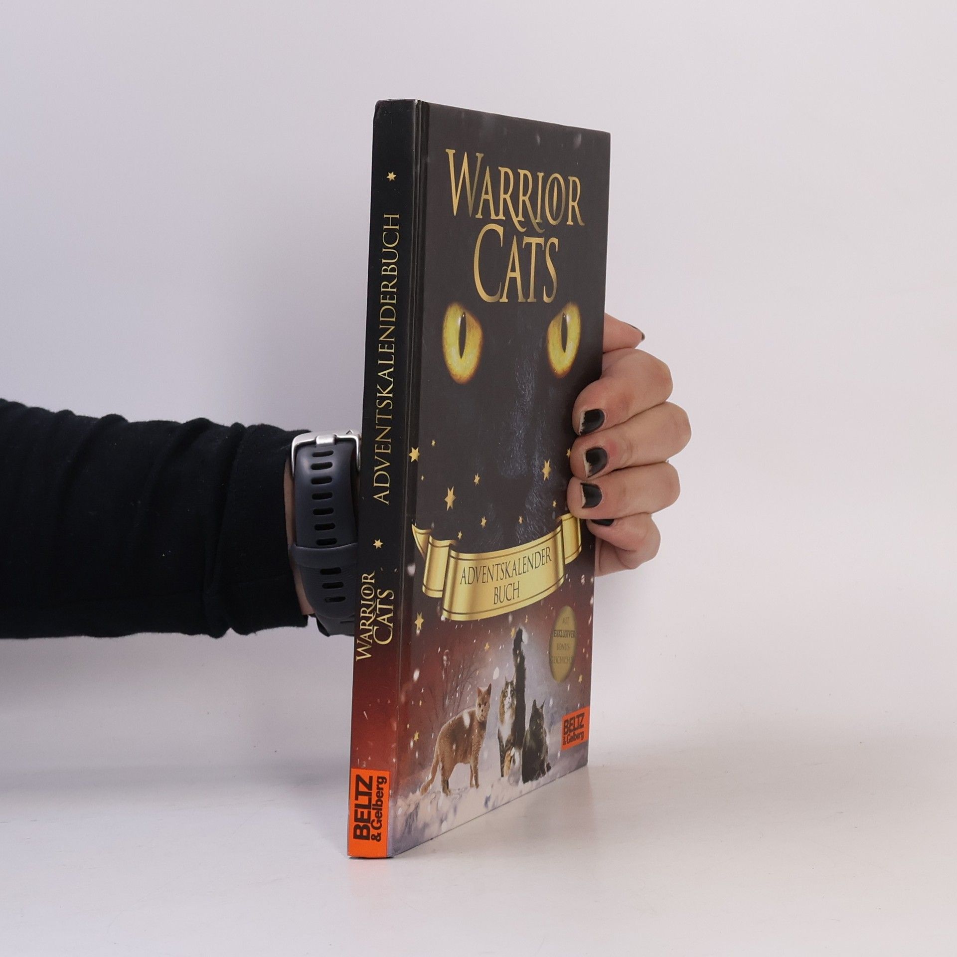 Erin Hunter Warrior Cats - Adventskalenderbuch