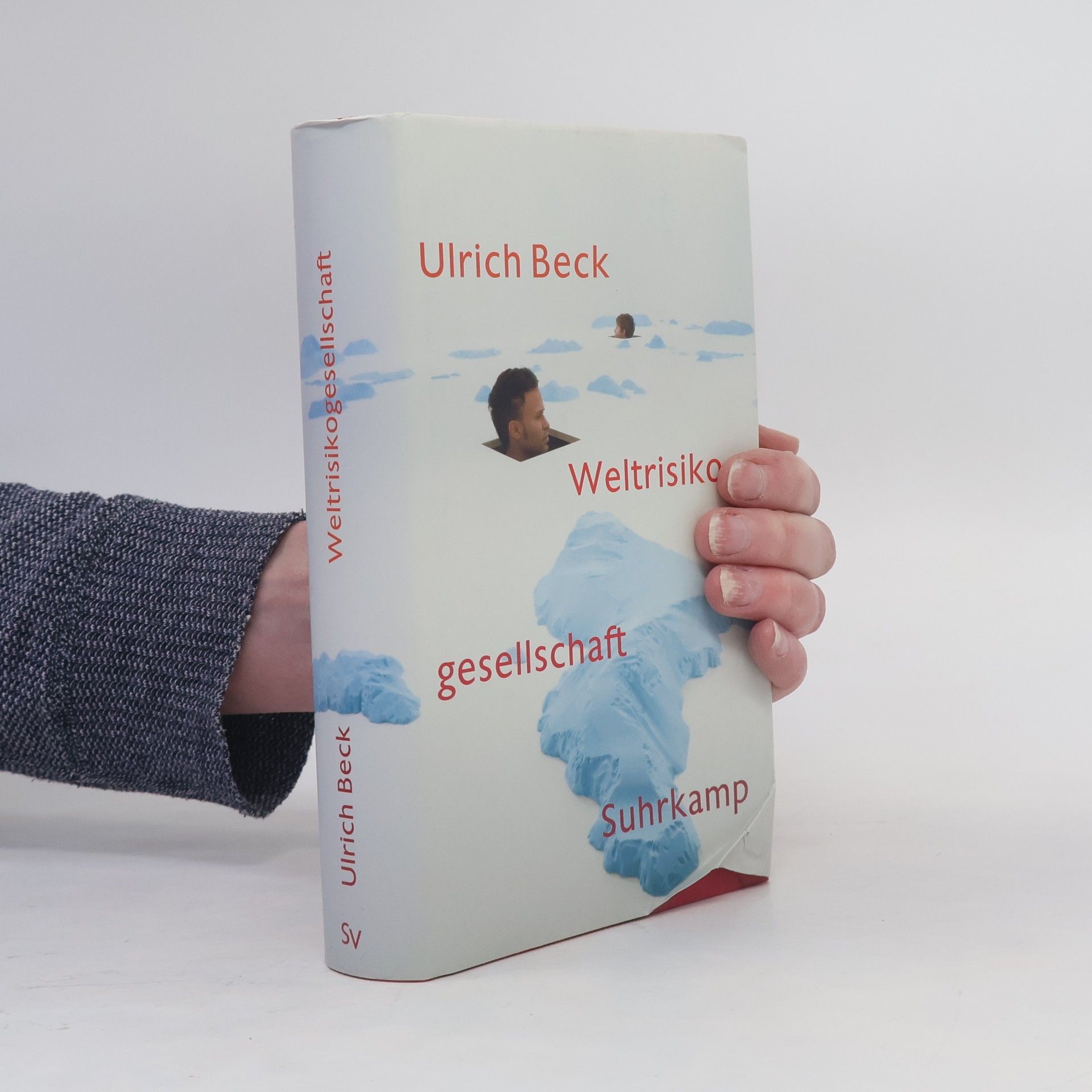Ulrich Beck Weltrisikogesellschaft
