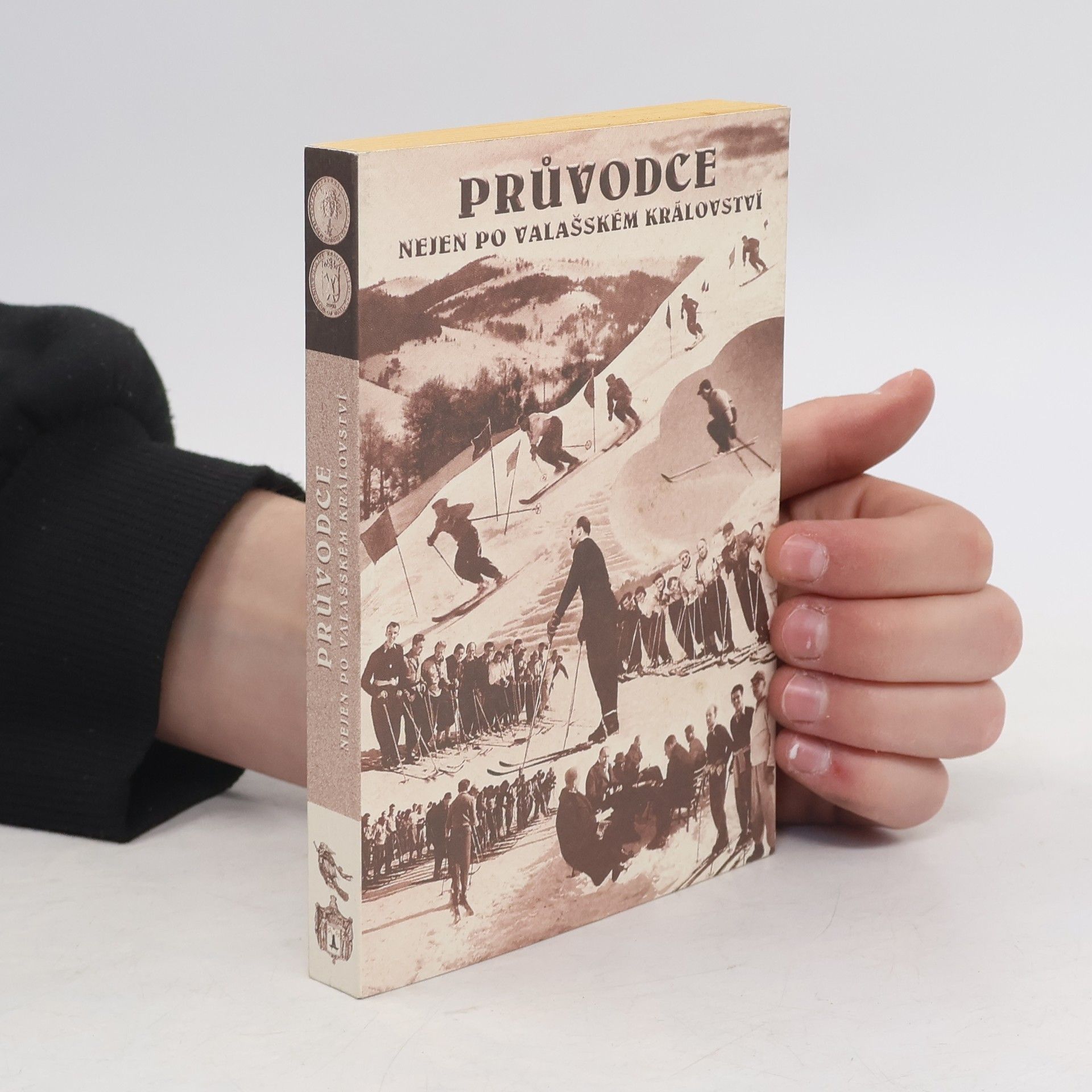 Dagmar Gábová Průvodce nejen po Valašském království