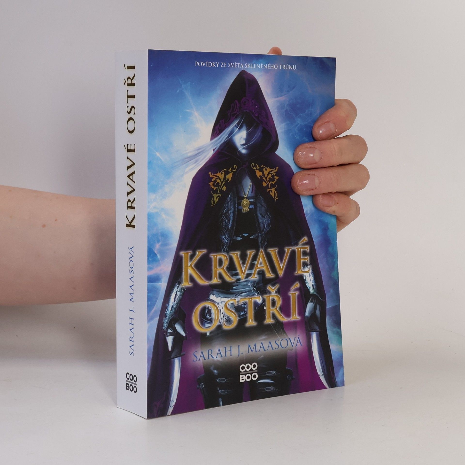 Sarah J. Maas Krvavé ostří