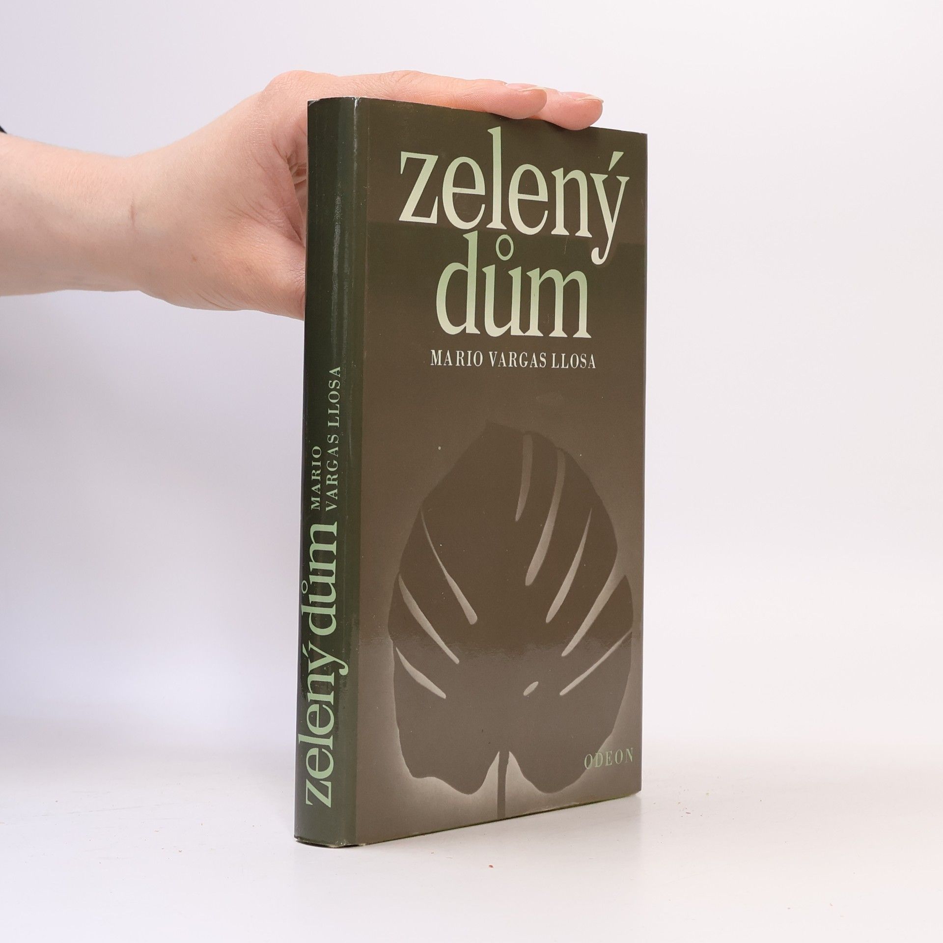 Mario Vargas Llosa Zelený dům