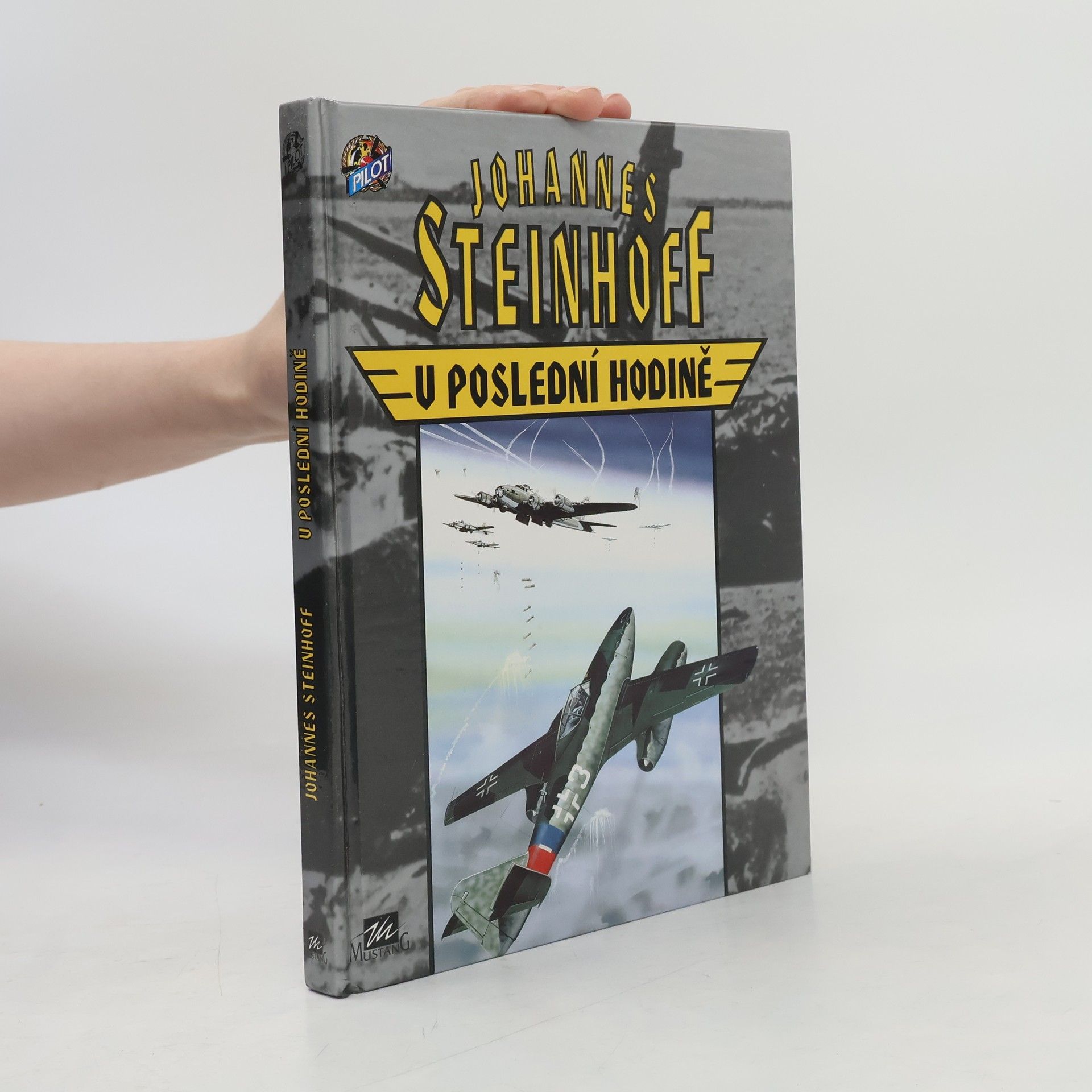 Johannes Steinhoff V poslední hodině