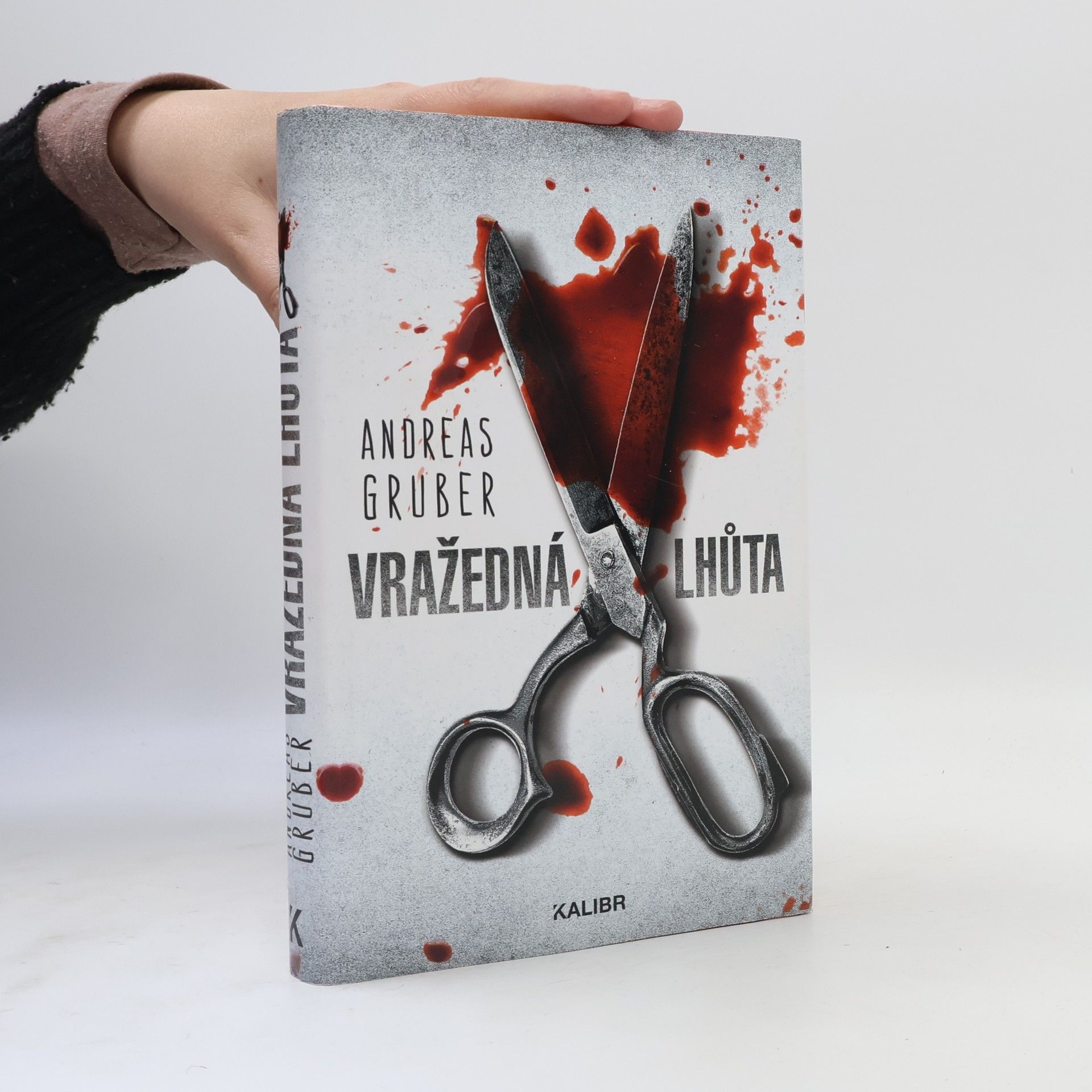 Andreas Gruber Vražedná lhůta