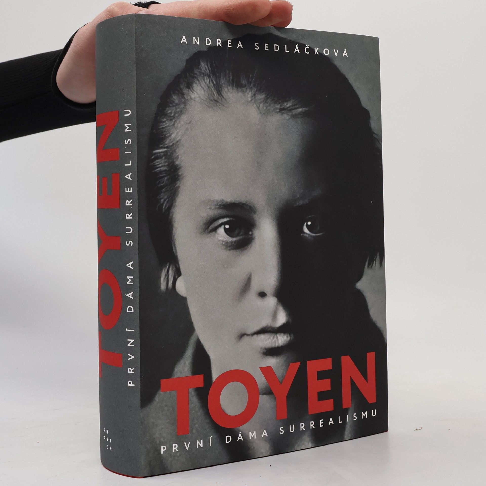 Andrea Sedláčková Toyen: první dáma surrealismu