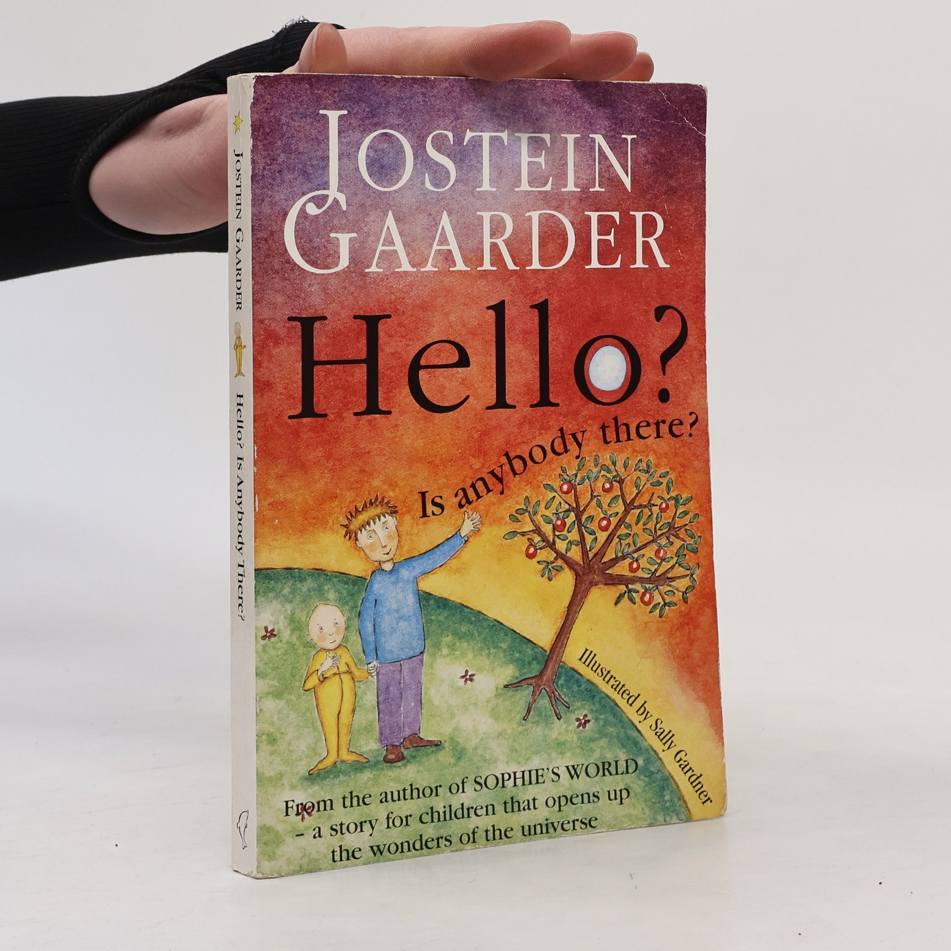 Sally Gardner Hello? Is Anybody There?