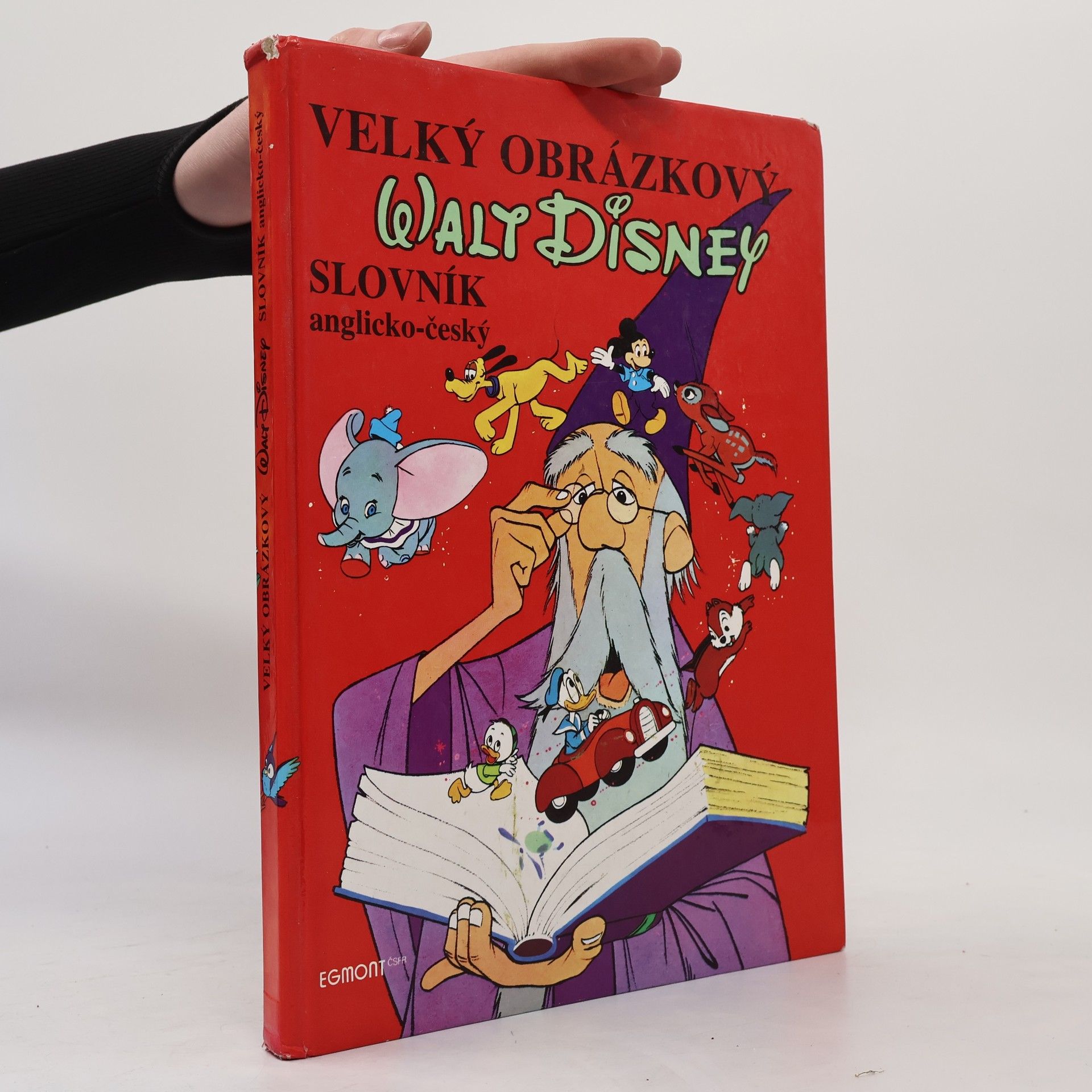 Walt Disney Velký obrázkový slovník anglicko-český