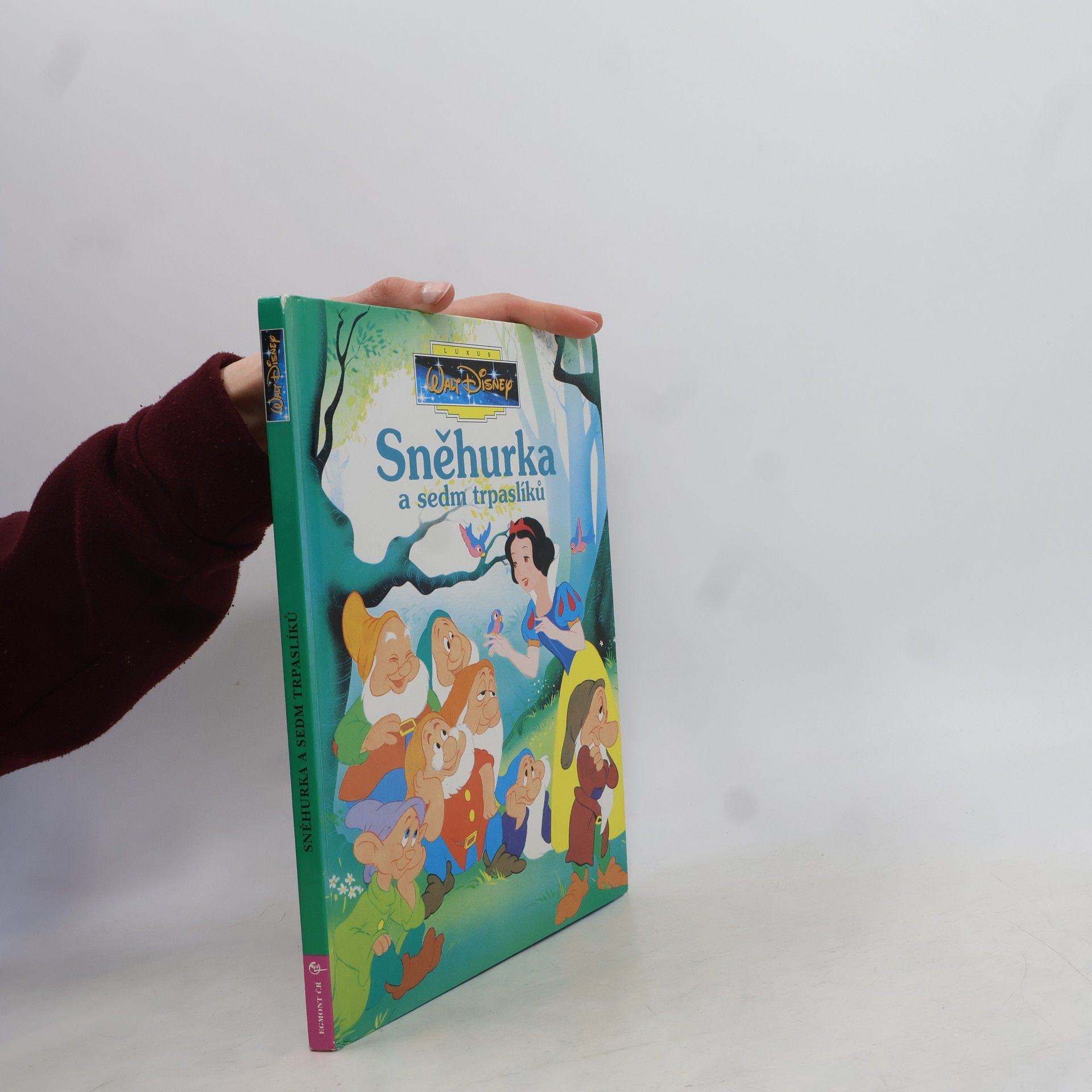 Kolektiv autorů Sněhurka a sedm trpaslíků