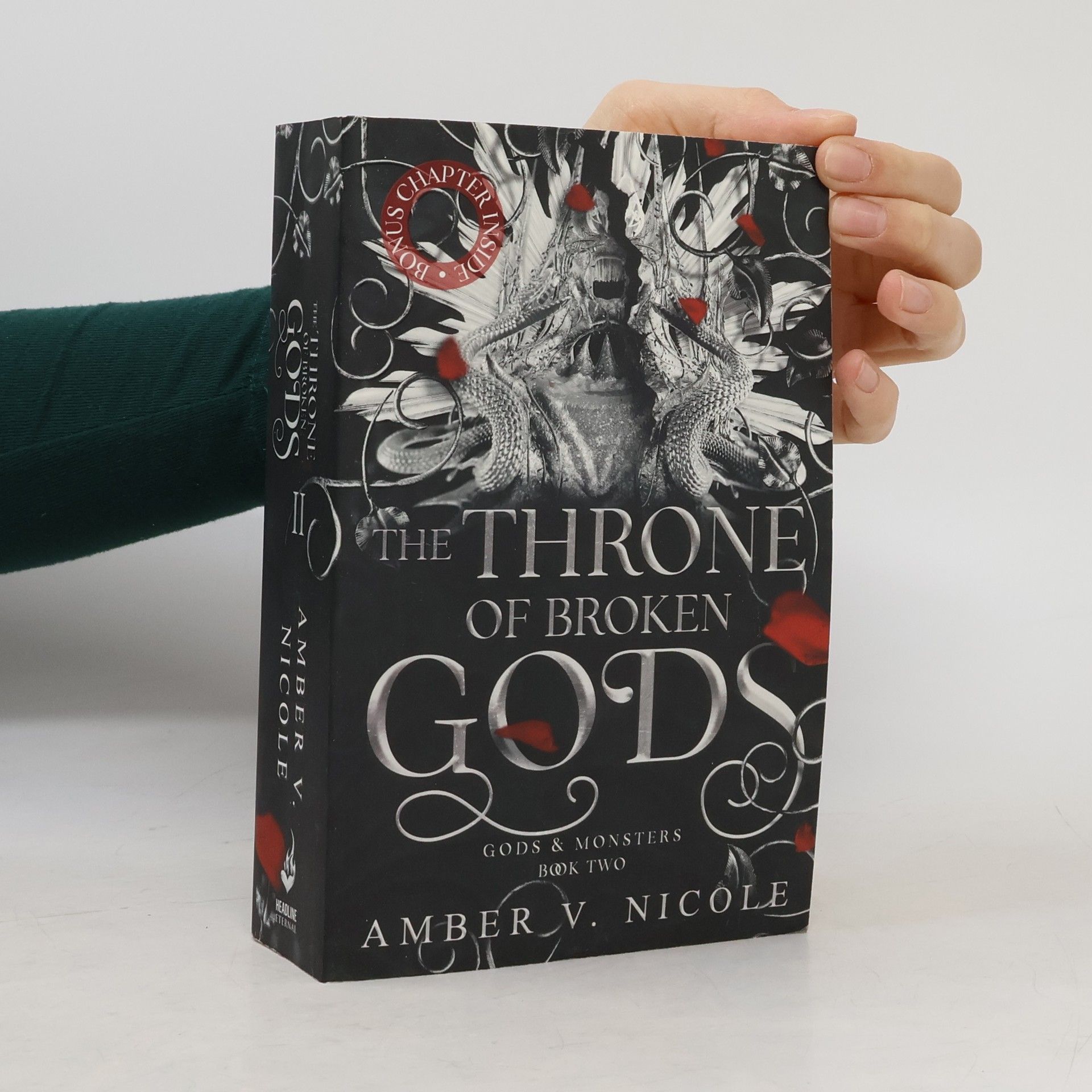 Amber V. Nicole The Throne of Broken Gods