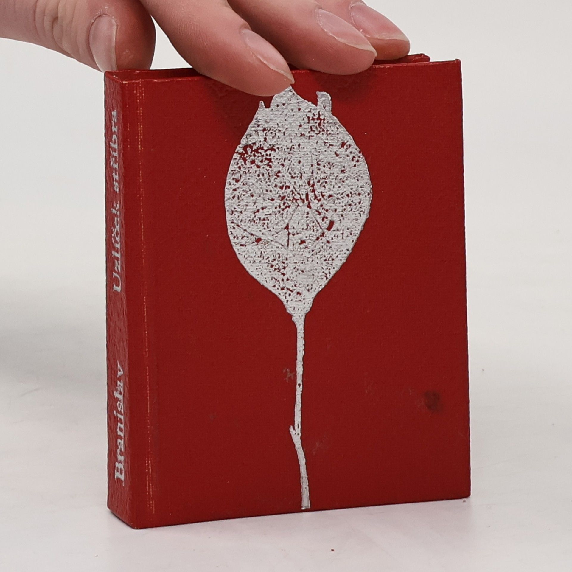 Václav Stejskal Uzlíček stříbra