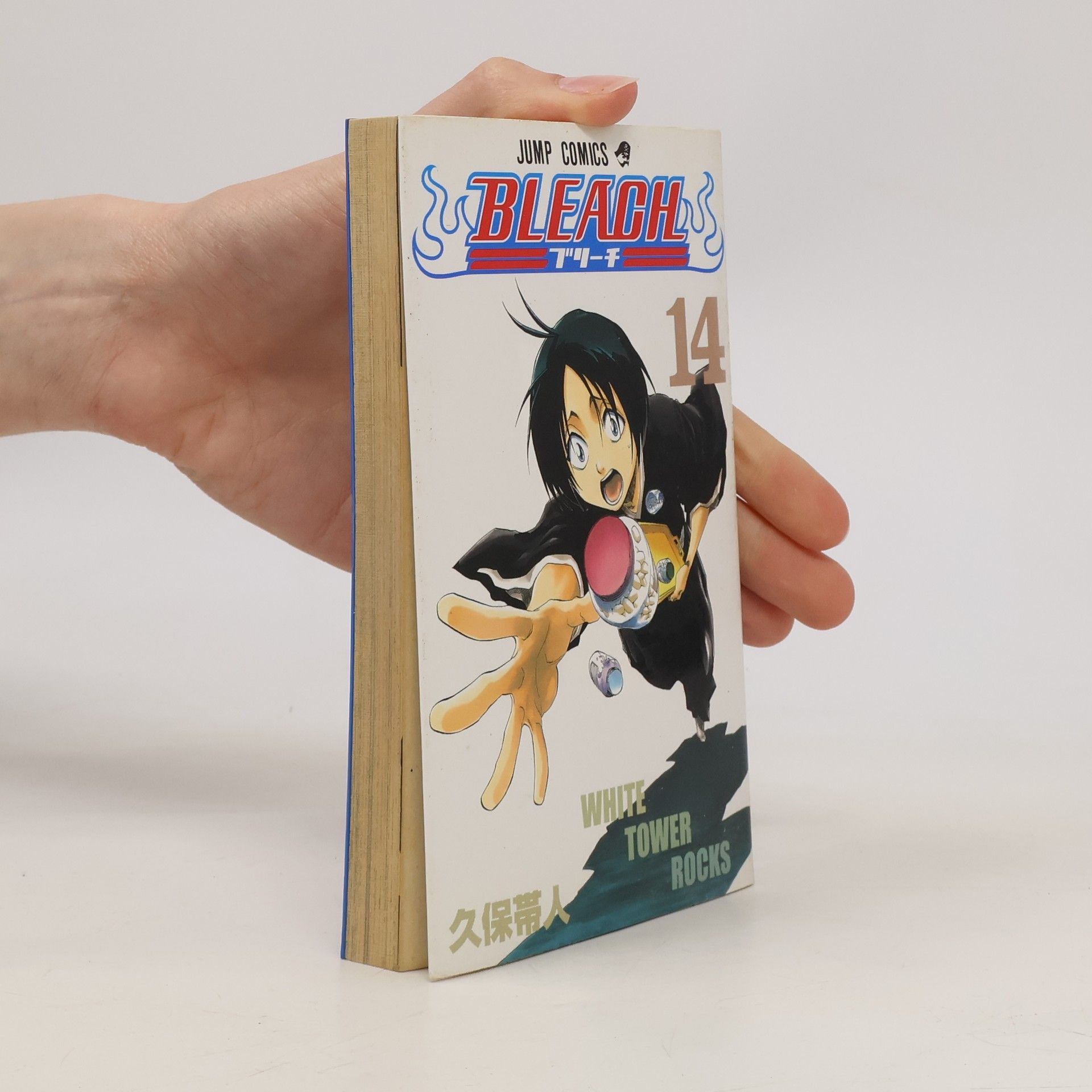 Tite Kubo ブリーチ14