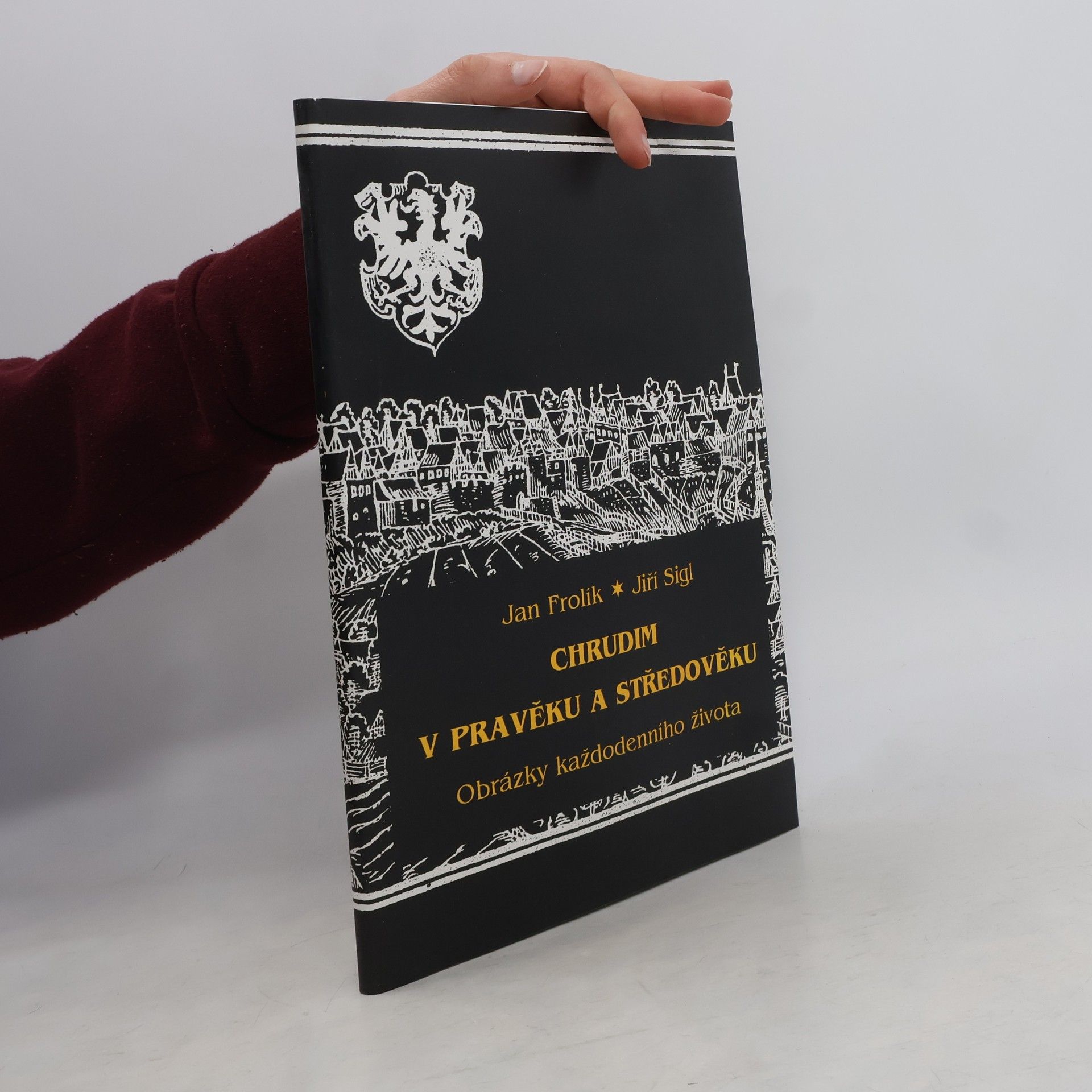 Chrudim v pravěku a středověku. Obrazy každodenního života