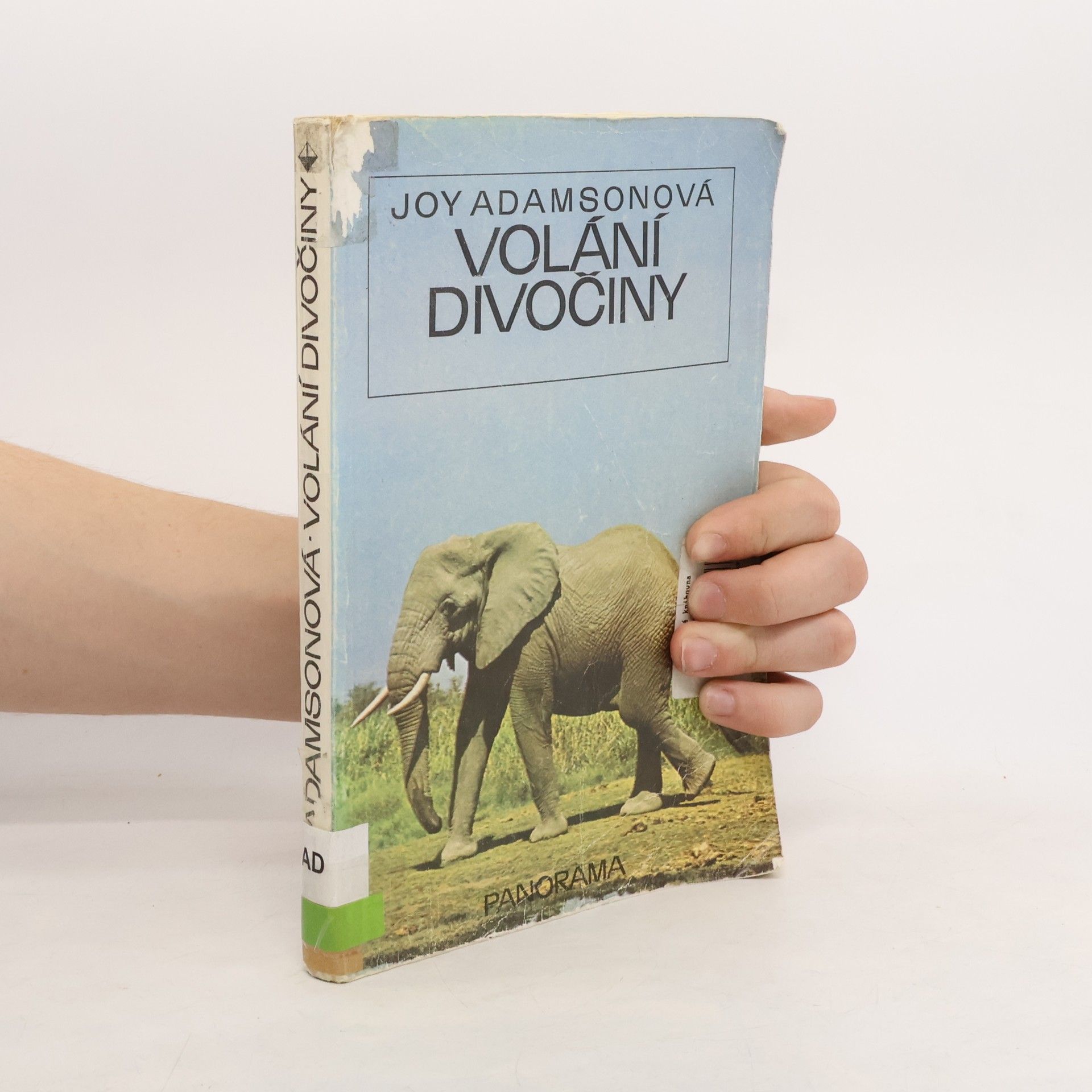 Volání divočiny