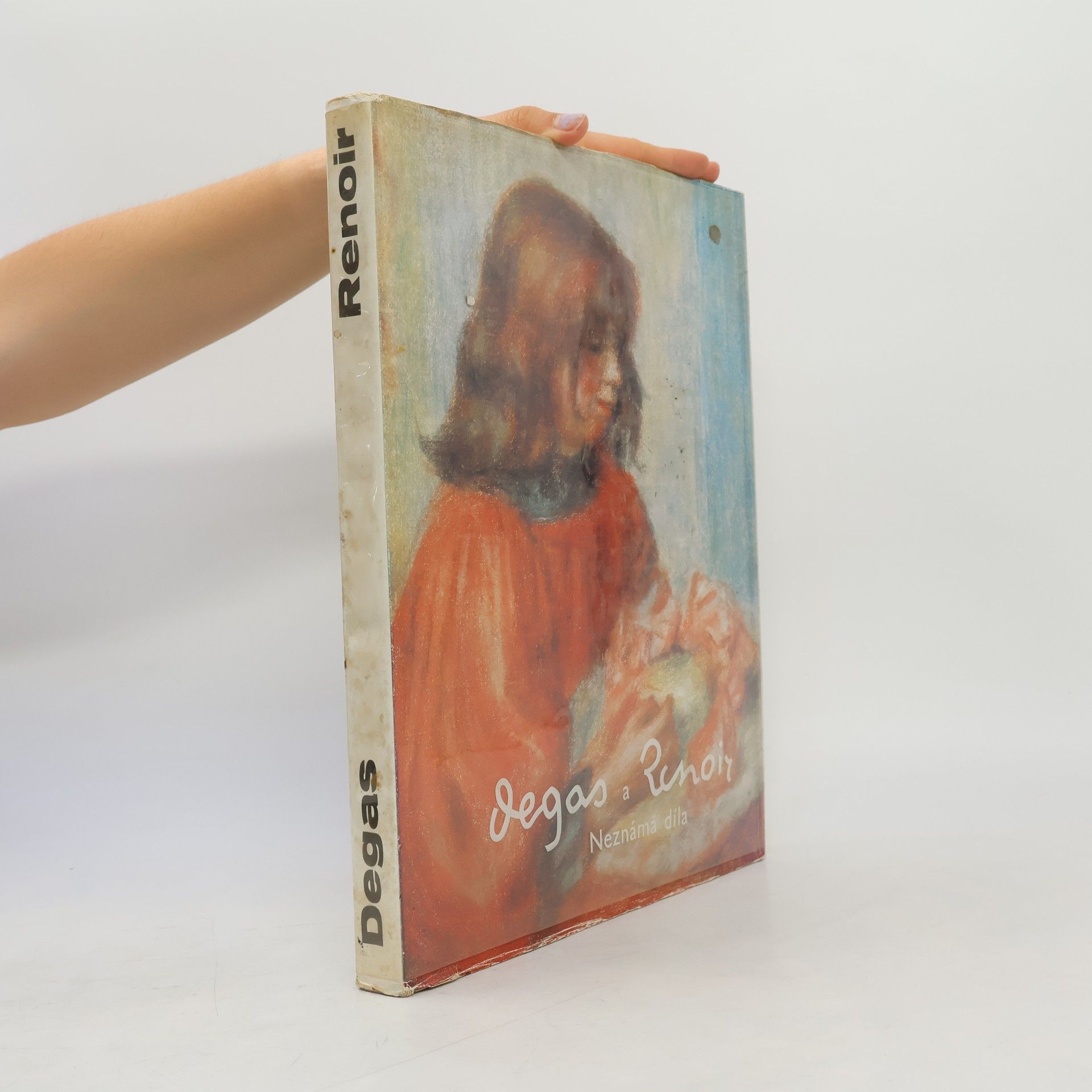 Denis Rouart Degas a Renoir. Neznámá díla