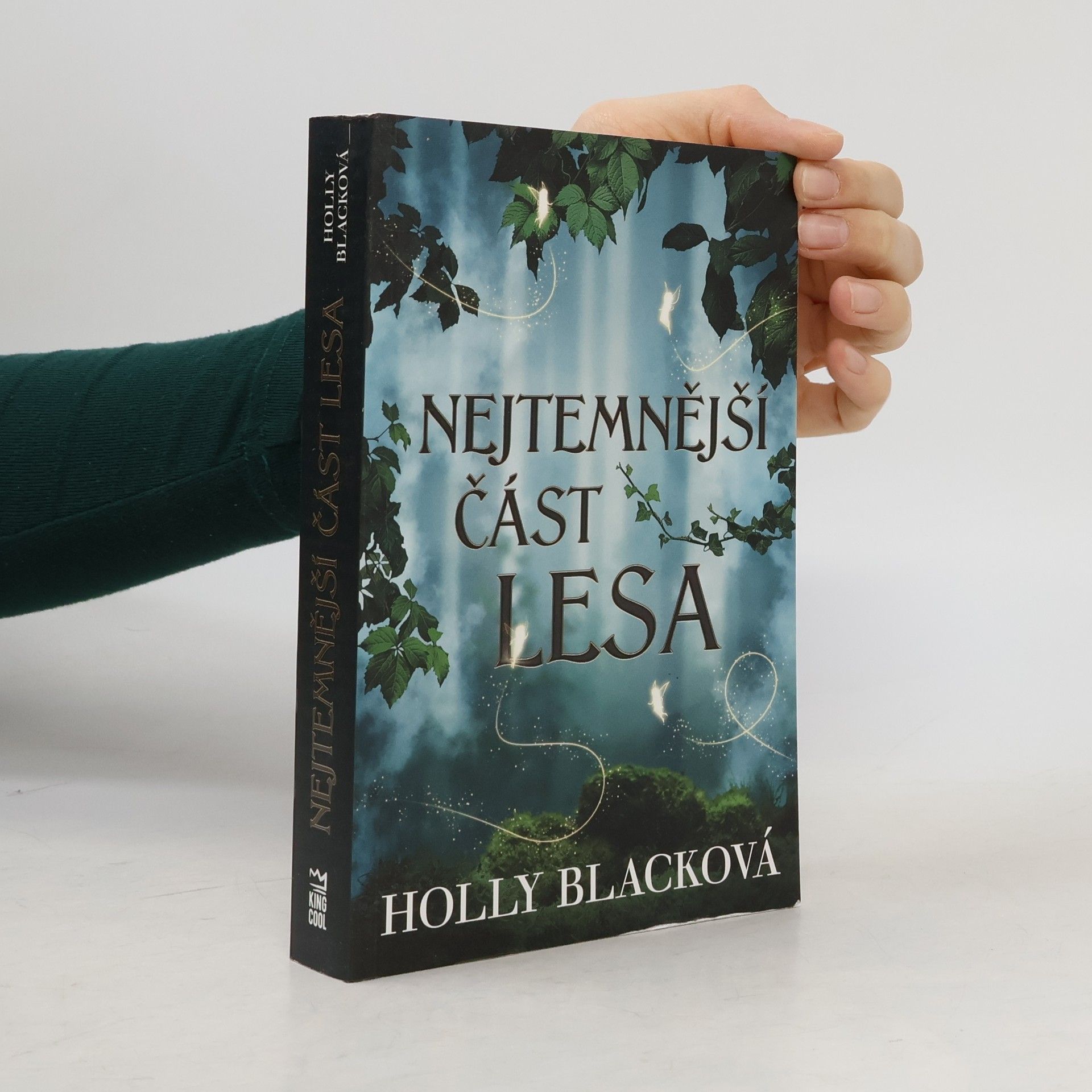 Holly Black Nejtemnější část lesa