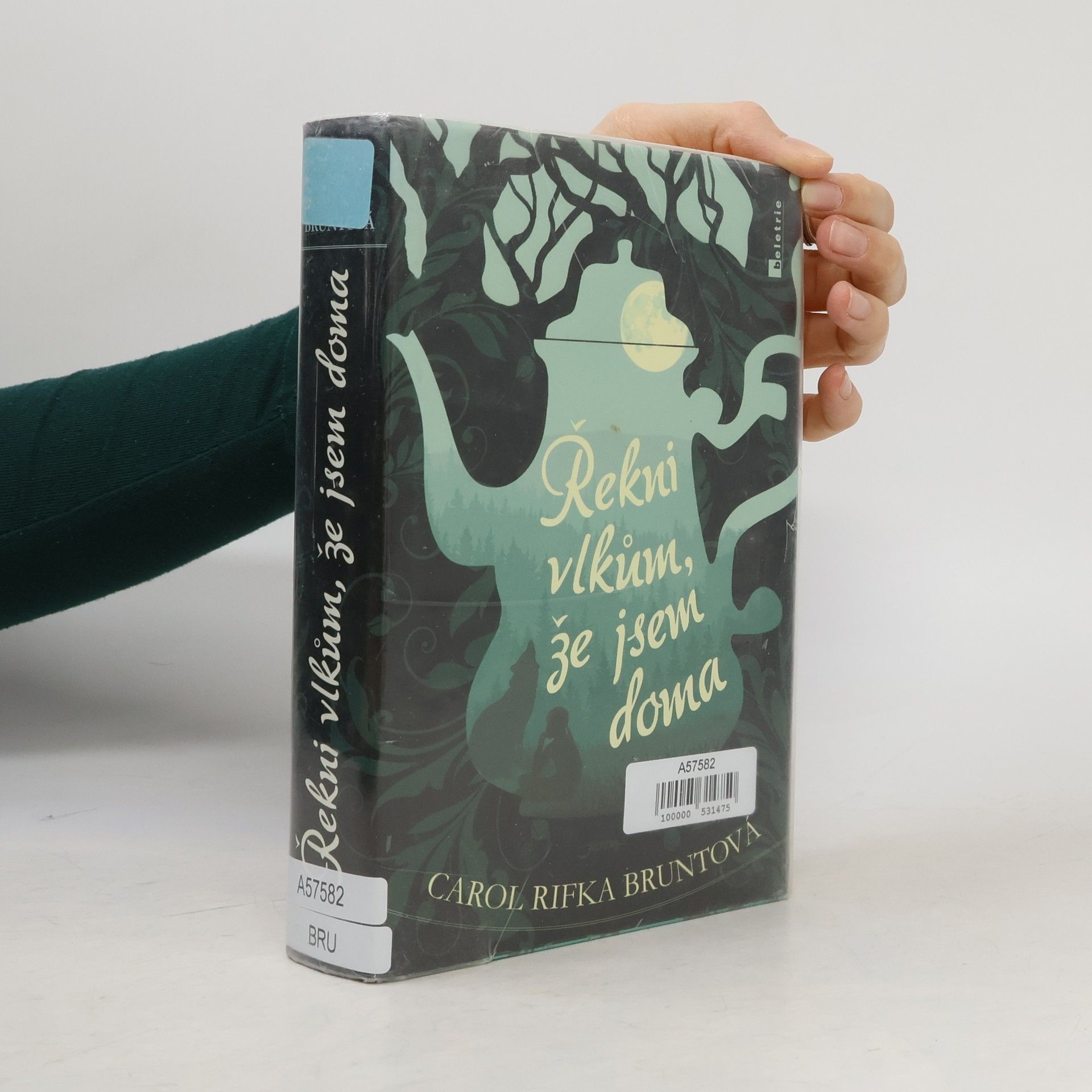 Carol Rifka Brunt Řekni vlkům, že jsem doma