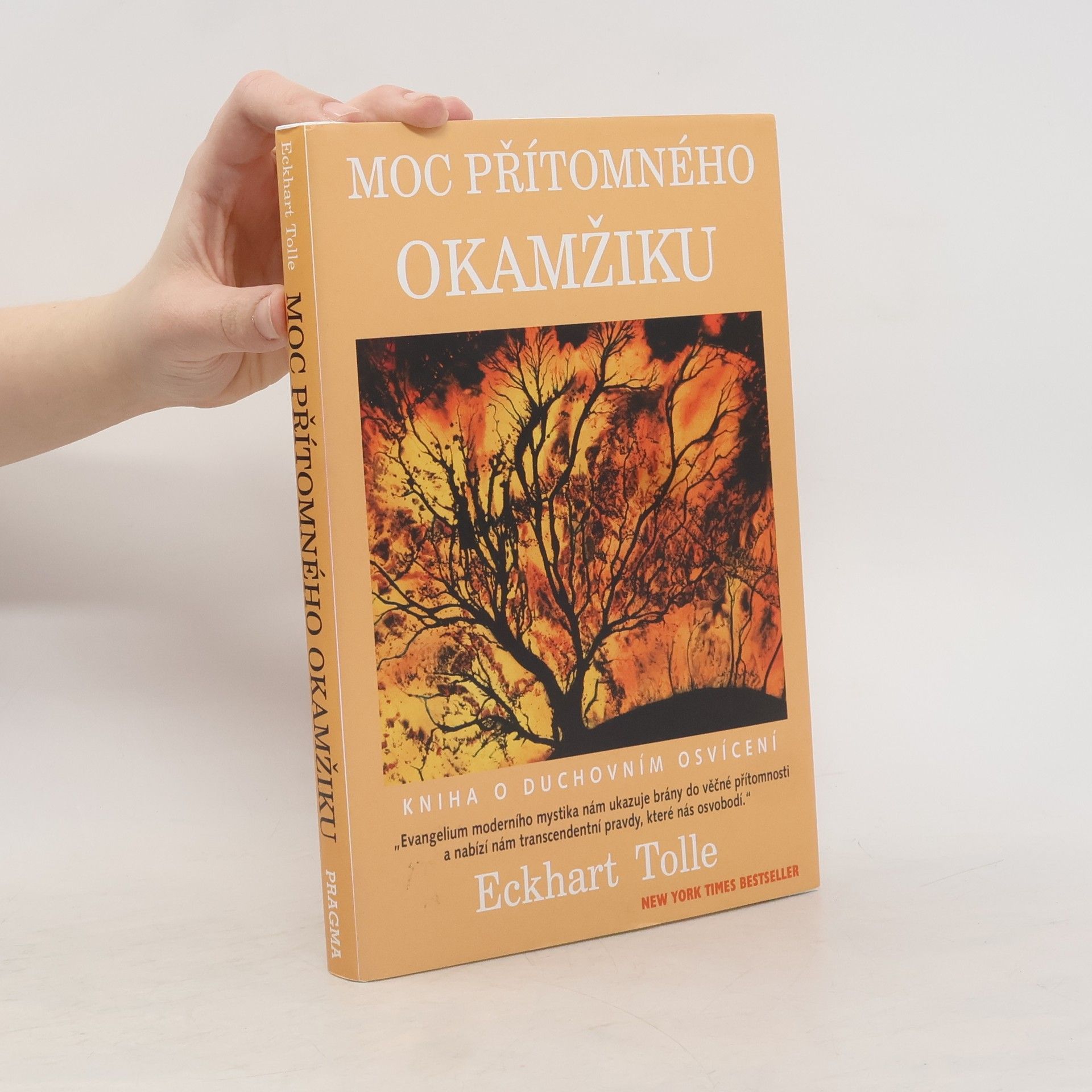 Eckhart Tolle Moc přítomného okamžiku