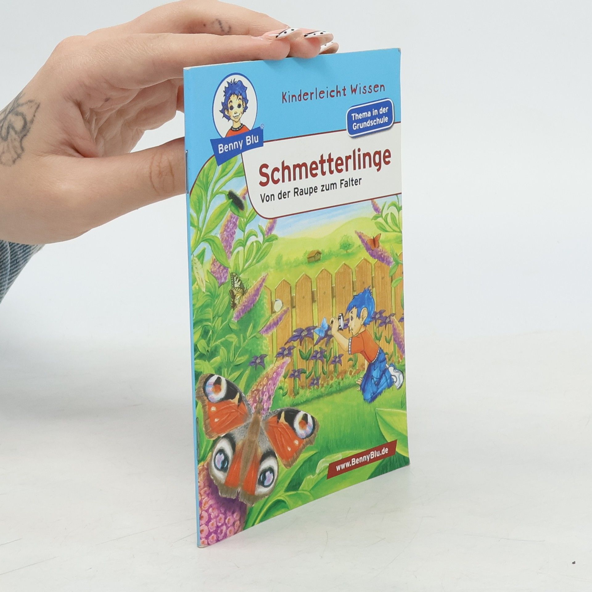 Schmetterlinge