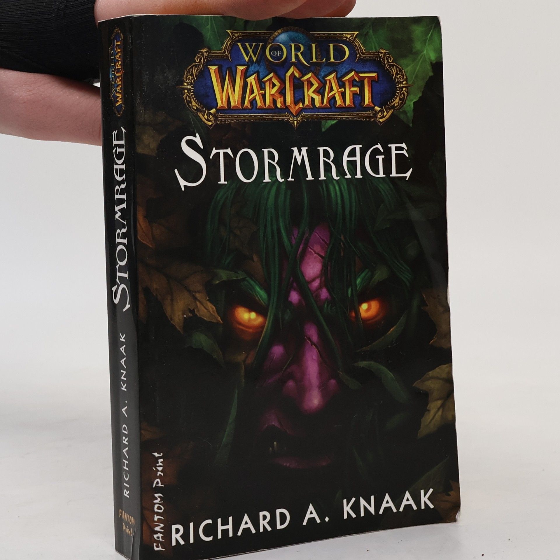 Richard A. Knaak Stormrage