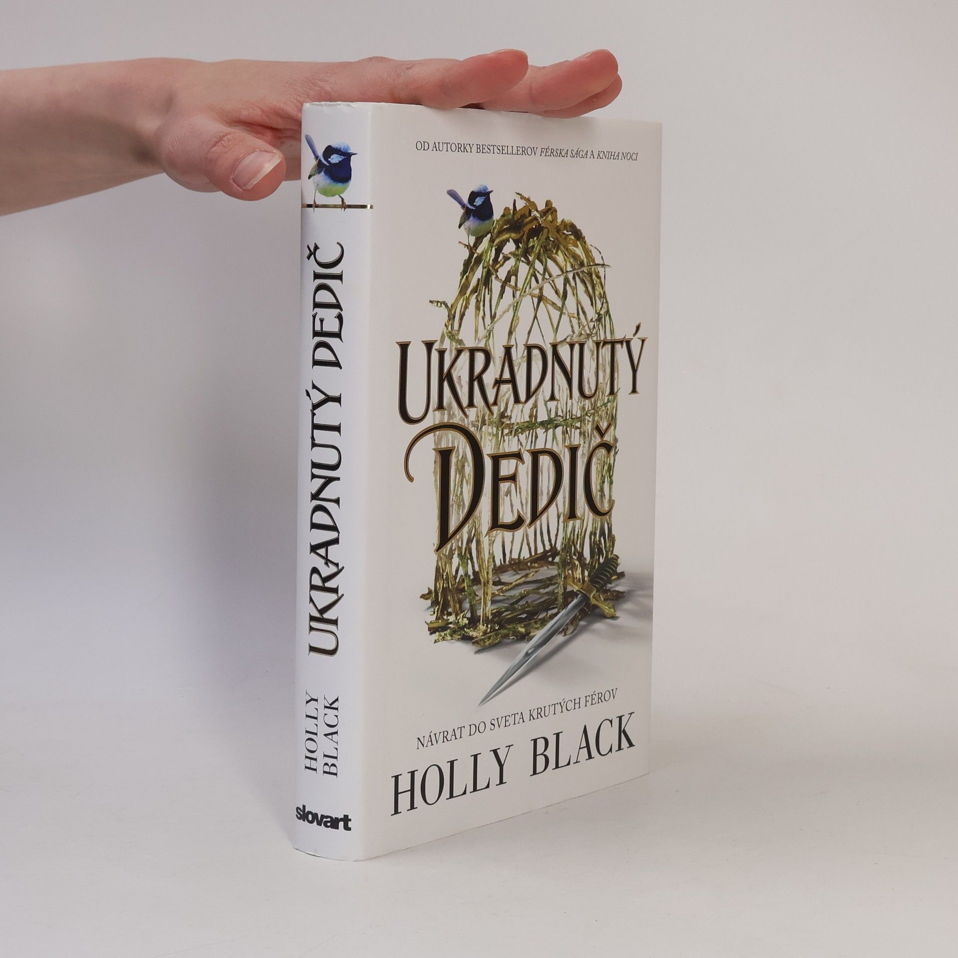 Holly Black Ukradnutý Dedič