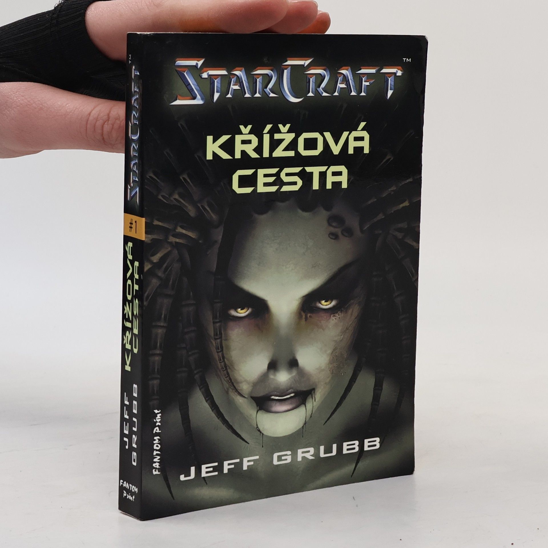 Jeff Grubb StarCraft 1. Křížová cesta