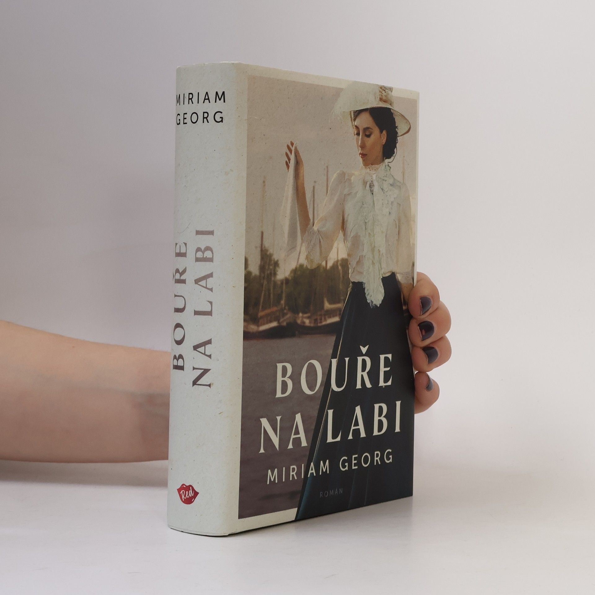 Miriam Georg Bouře na Labi: hanzovní rodinná sága